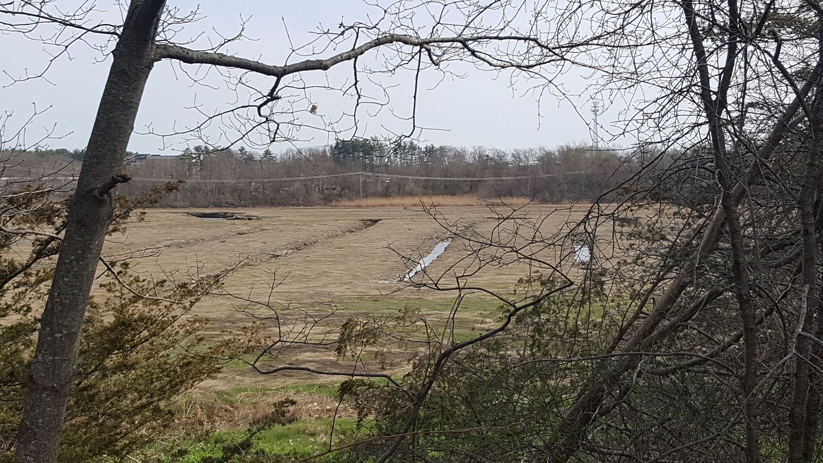 Photo 11 of 4 Greenleaf Woods Dr