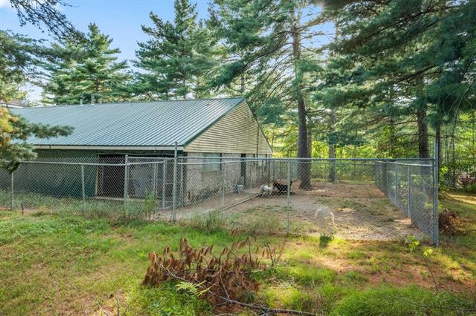 Photo 11 of 101 Ossipee Lake Rd