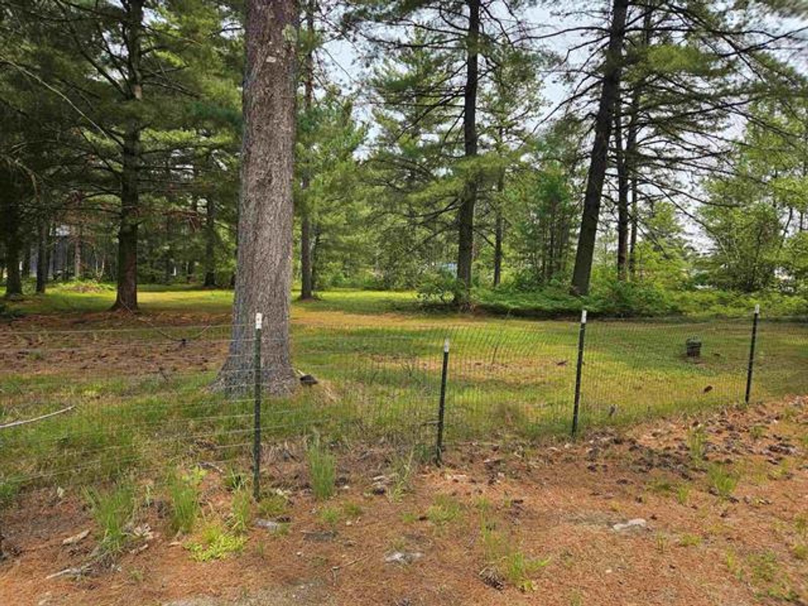 Photo 3 of 101 Ossipee Lake Rd