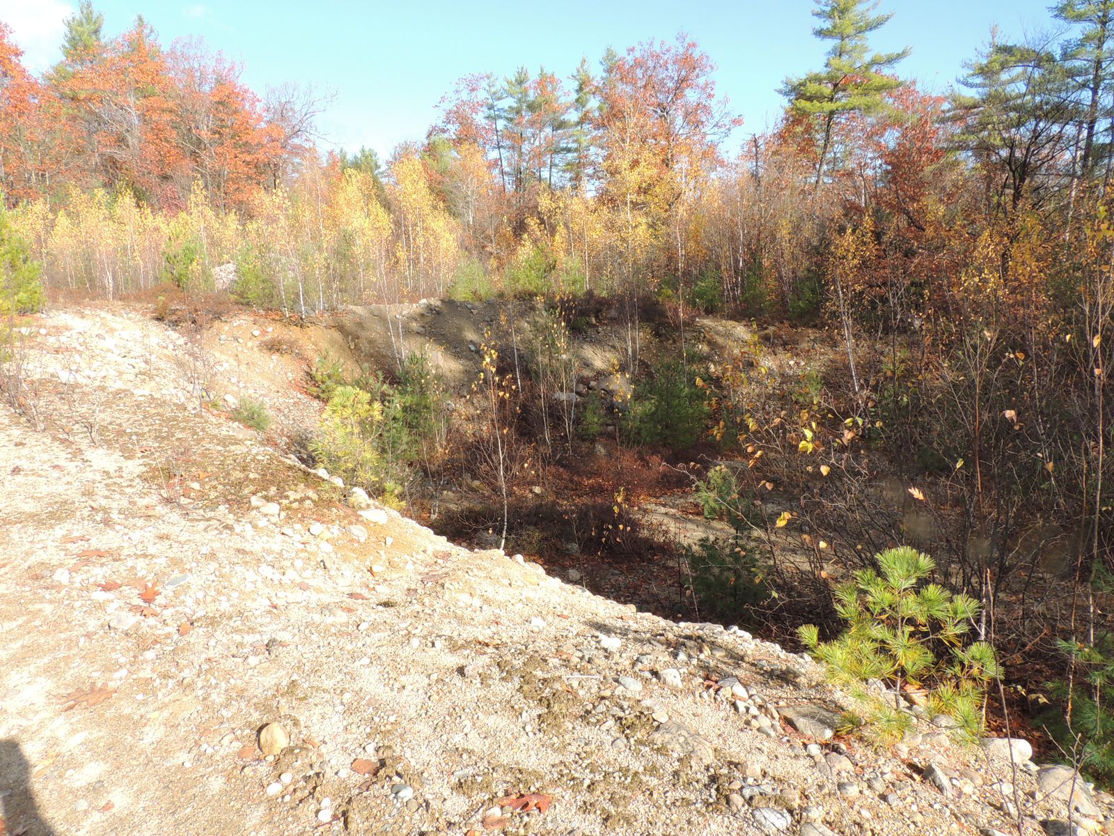 Photo 9 of 140 Chickville Rd