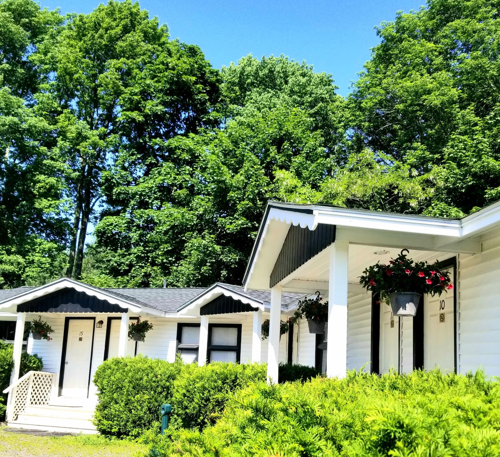 Photo 10 of Starlight Lodge