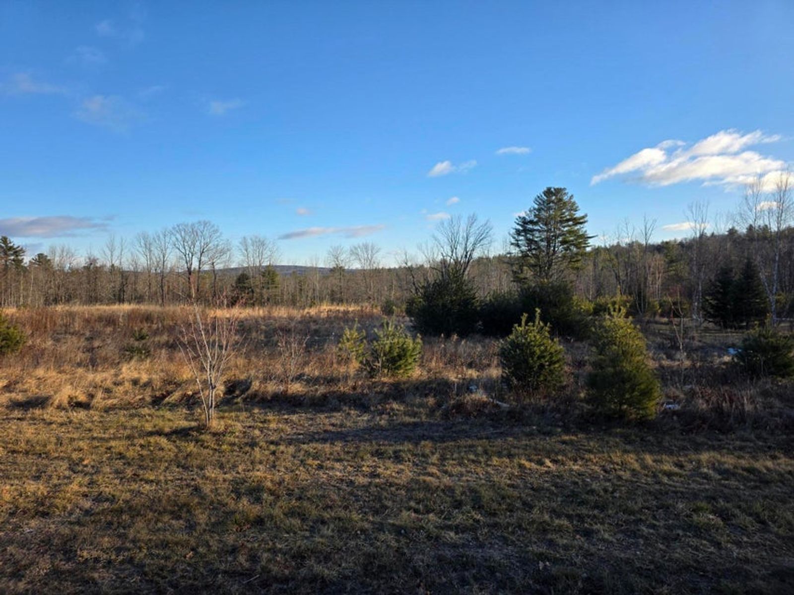 Photo 8 of 487 Pigeon Hill Rd