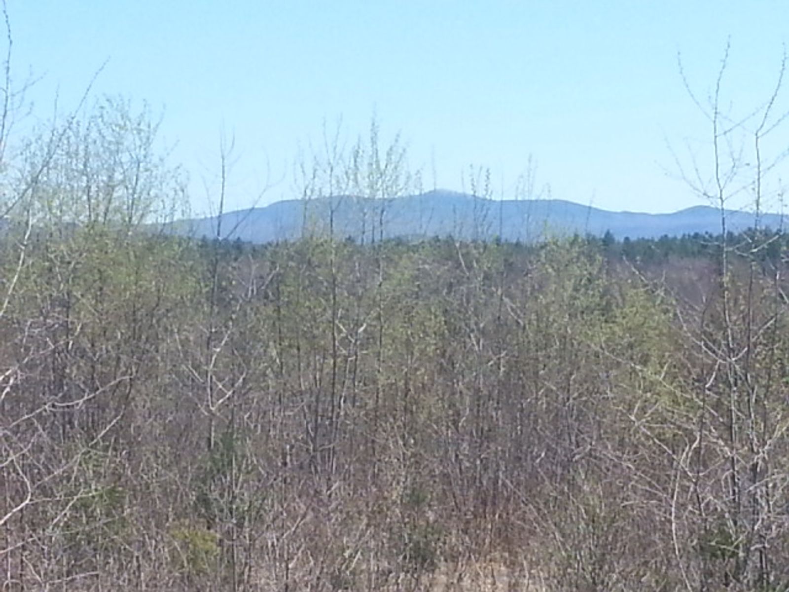 Photo 9 of 453 Route 4