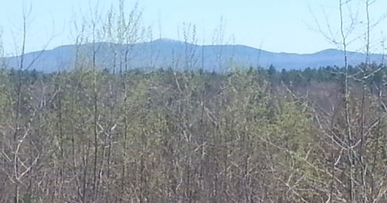 Photo 5 of 201 acres land no zoning
