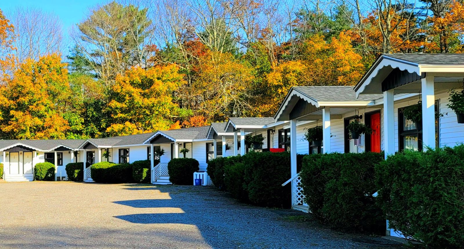 Photo 4 of Starlight Lodge