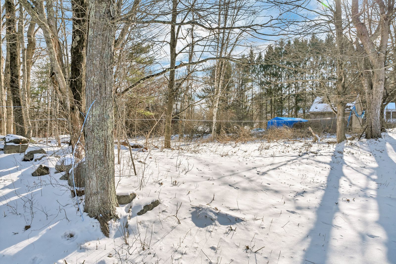 Photo 9 of 5 Buttrick Rd
