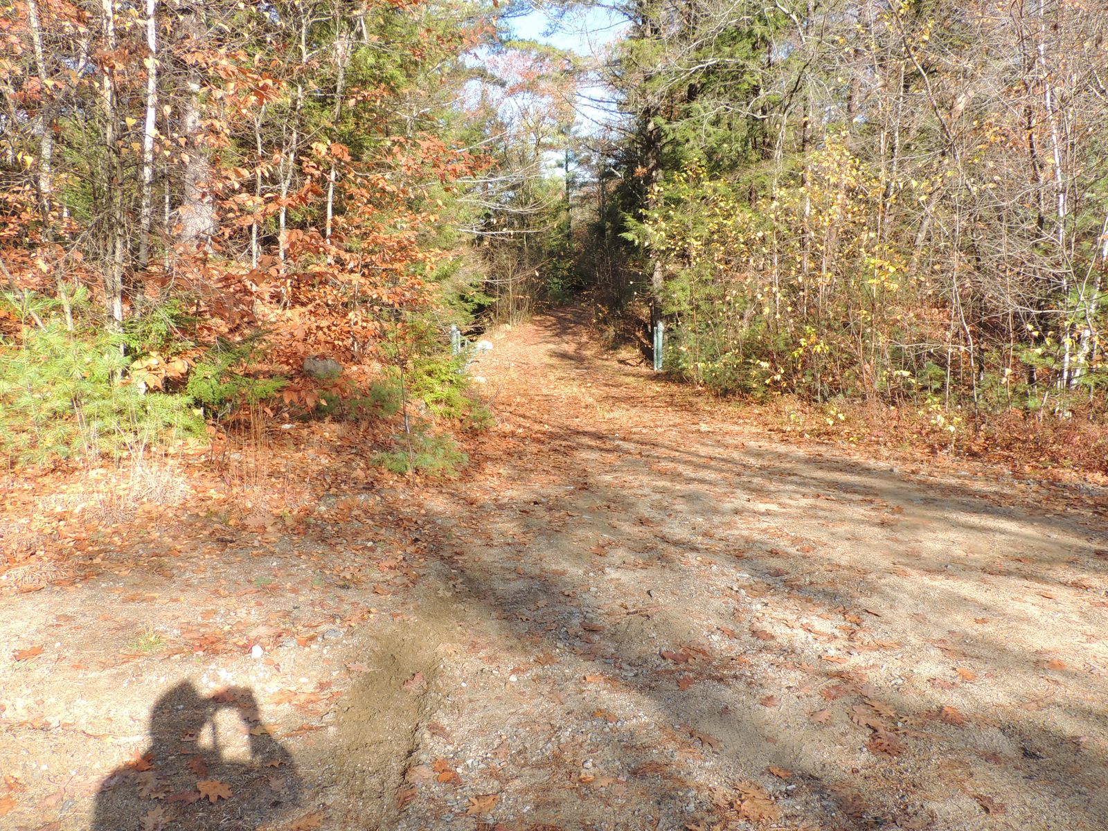 Photo 4 of 140 Chickville Rd