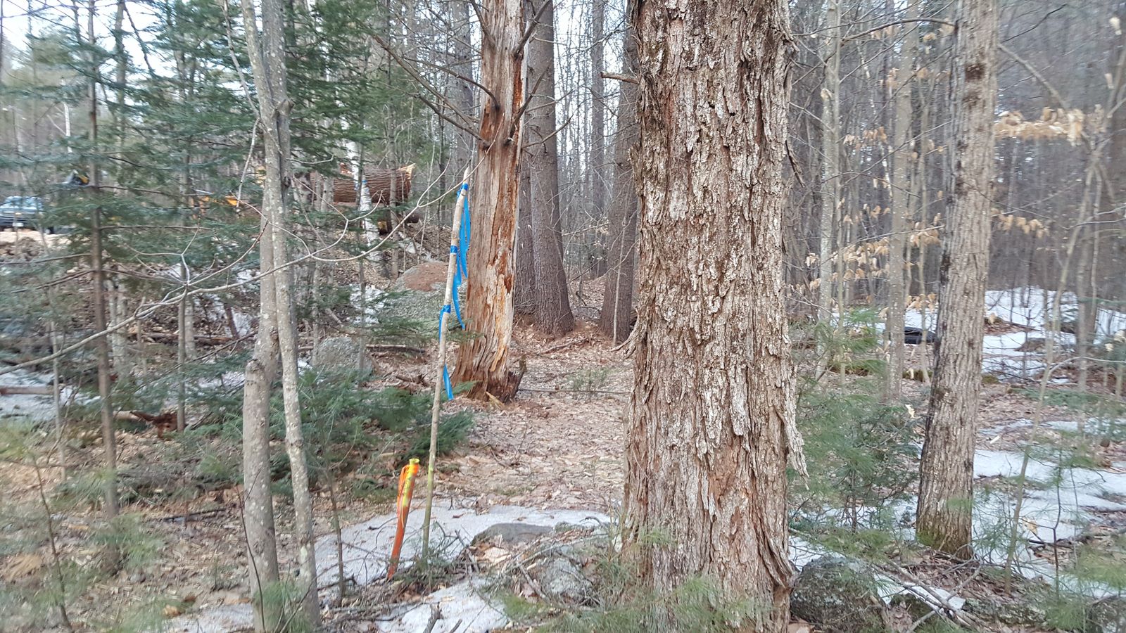 Photo 9 of 100 North Rd