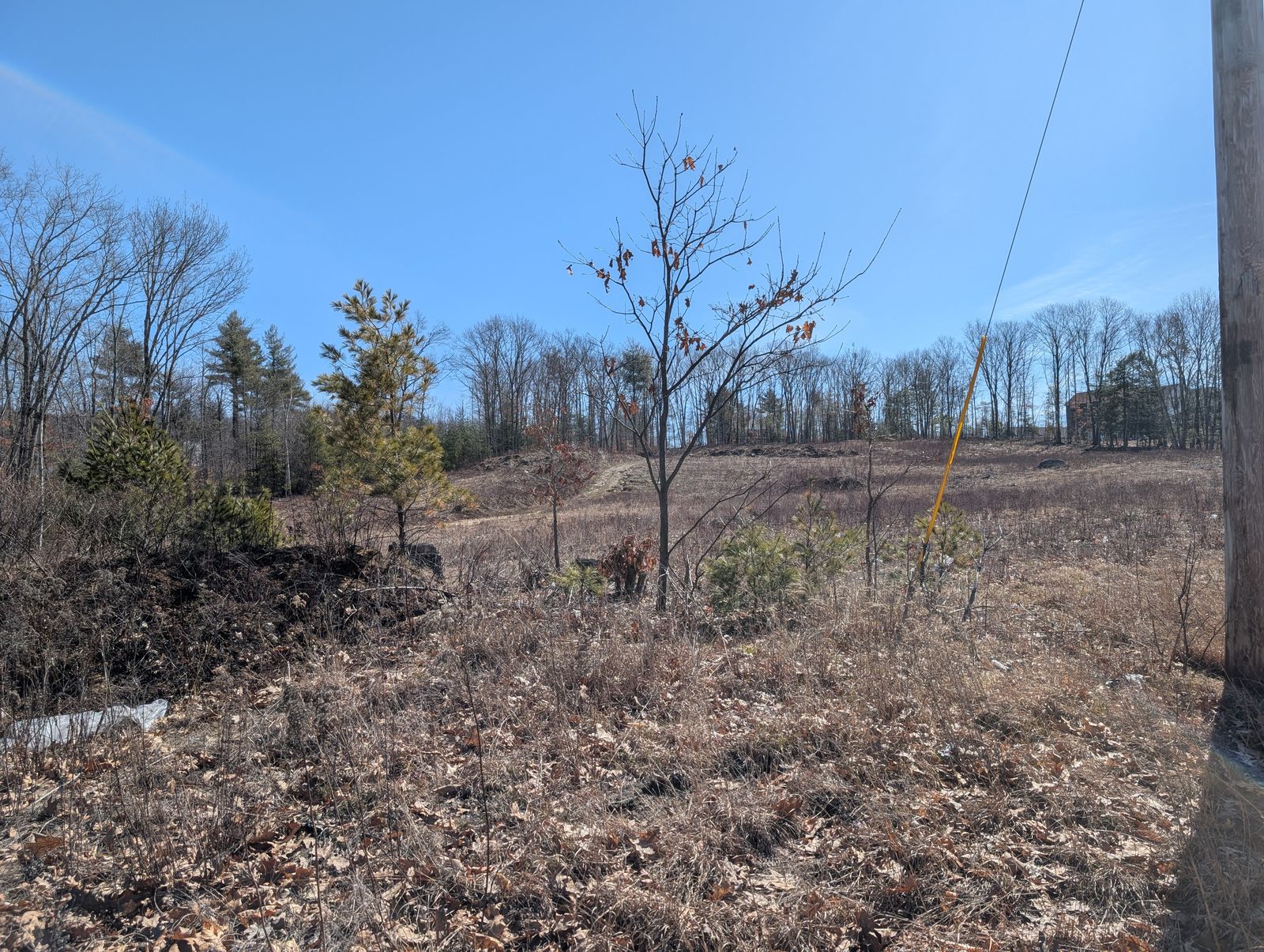 Photo 8 of Lot 233/26/58 and 59