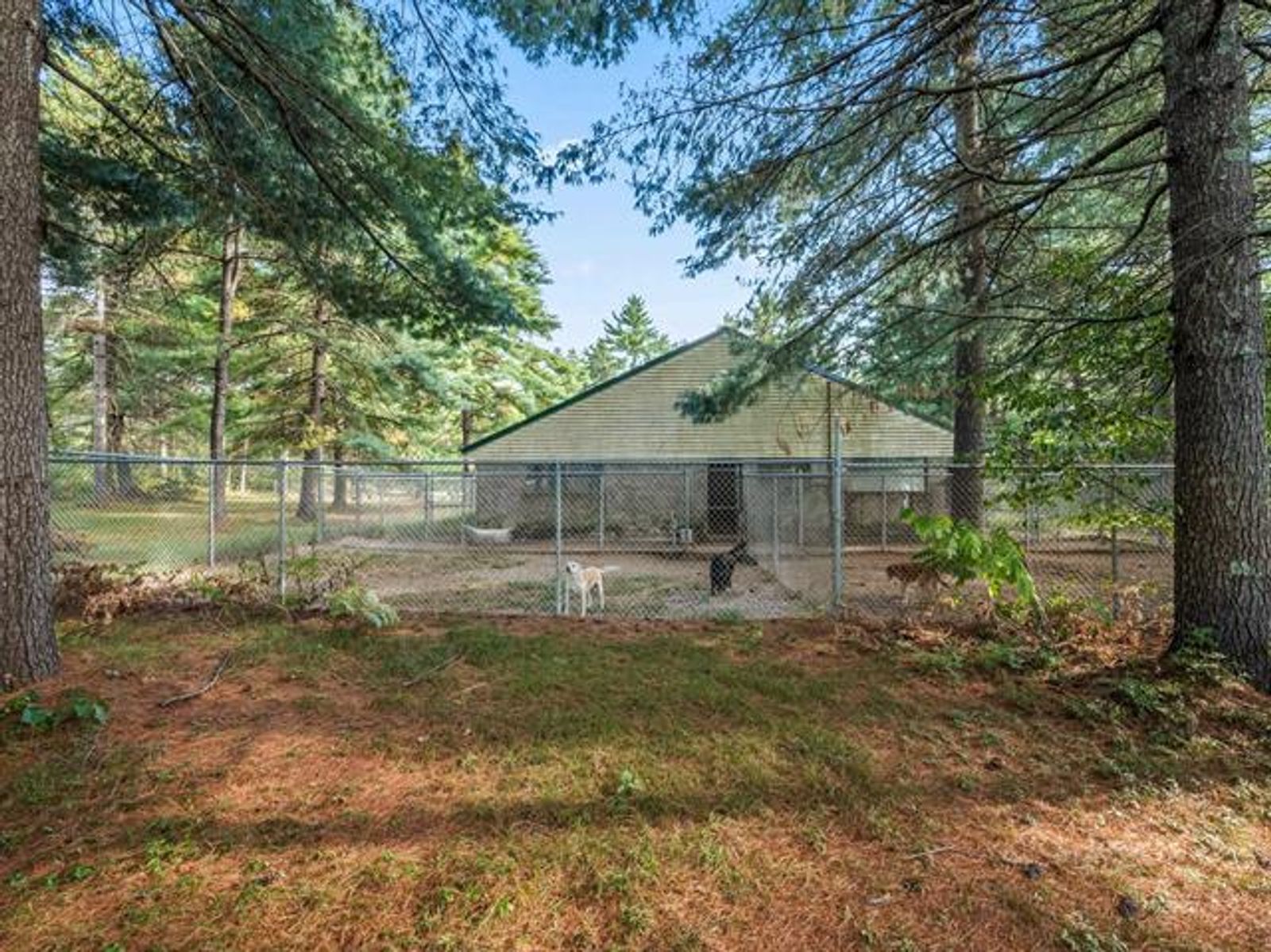 Photo 12 of 101 Ossipee Lake Rd