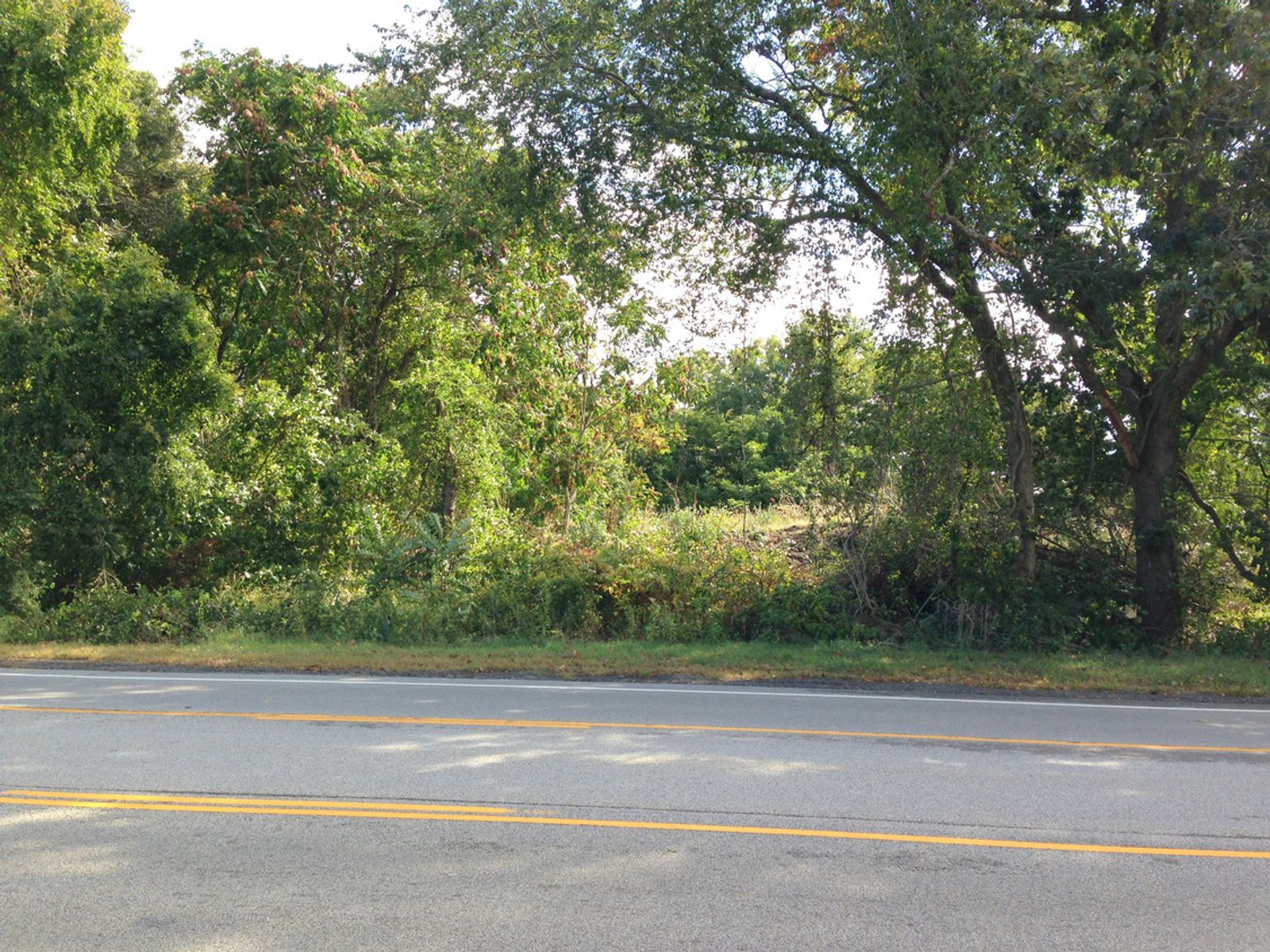 Photo 6 of 4000 Quaker Lane
