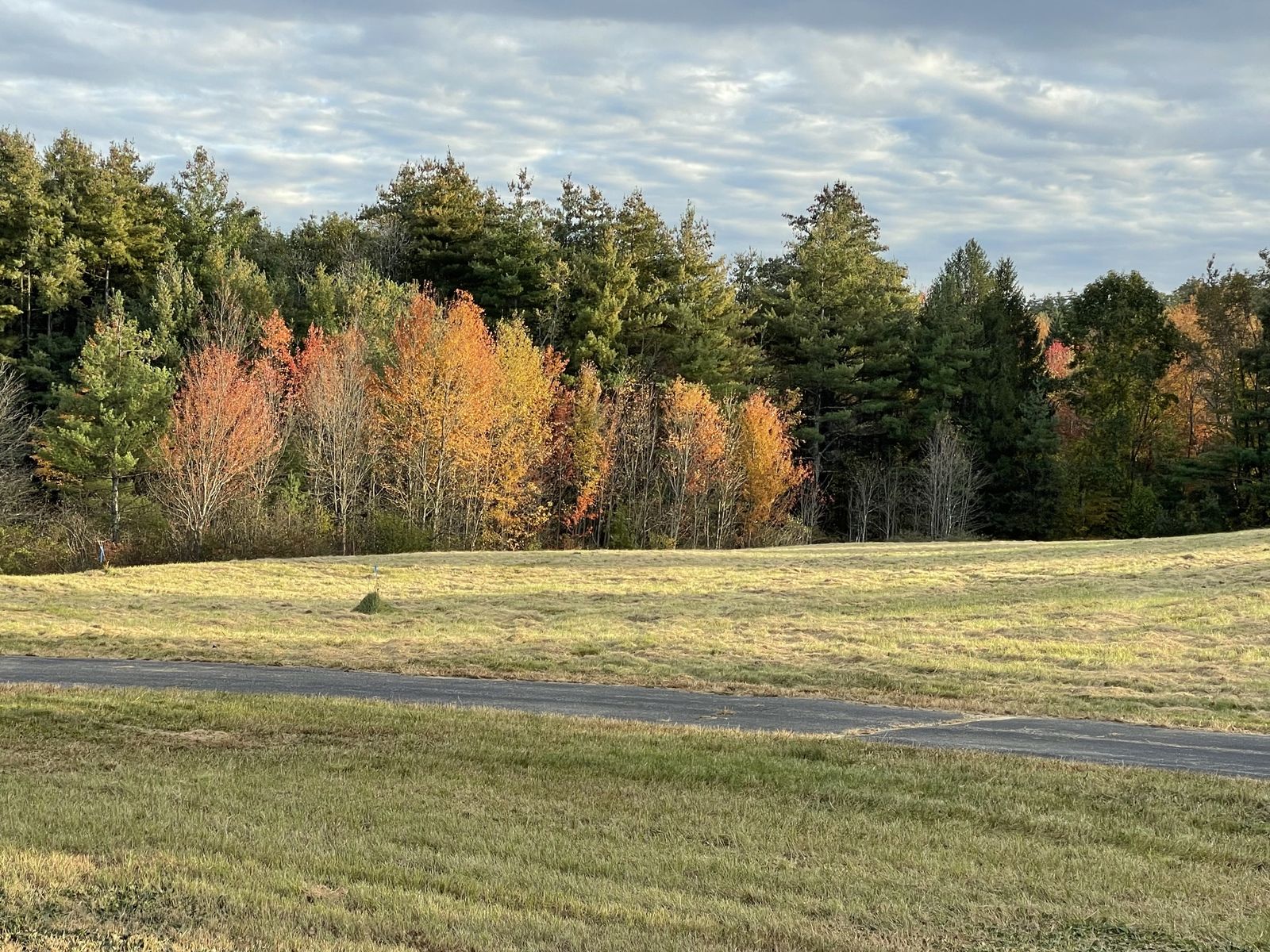 Photo 6 of 257 Wallace Rd