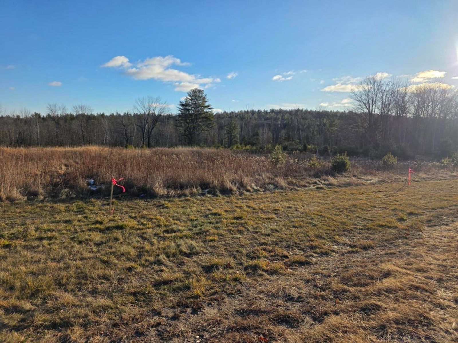 Photo 6 of 487 Pigeon Hill Rd