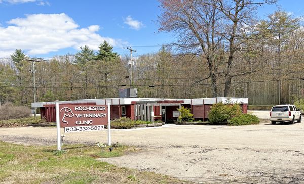 438 Gonic Rd.