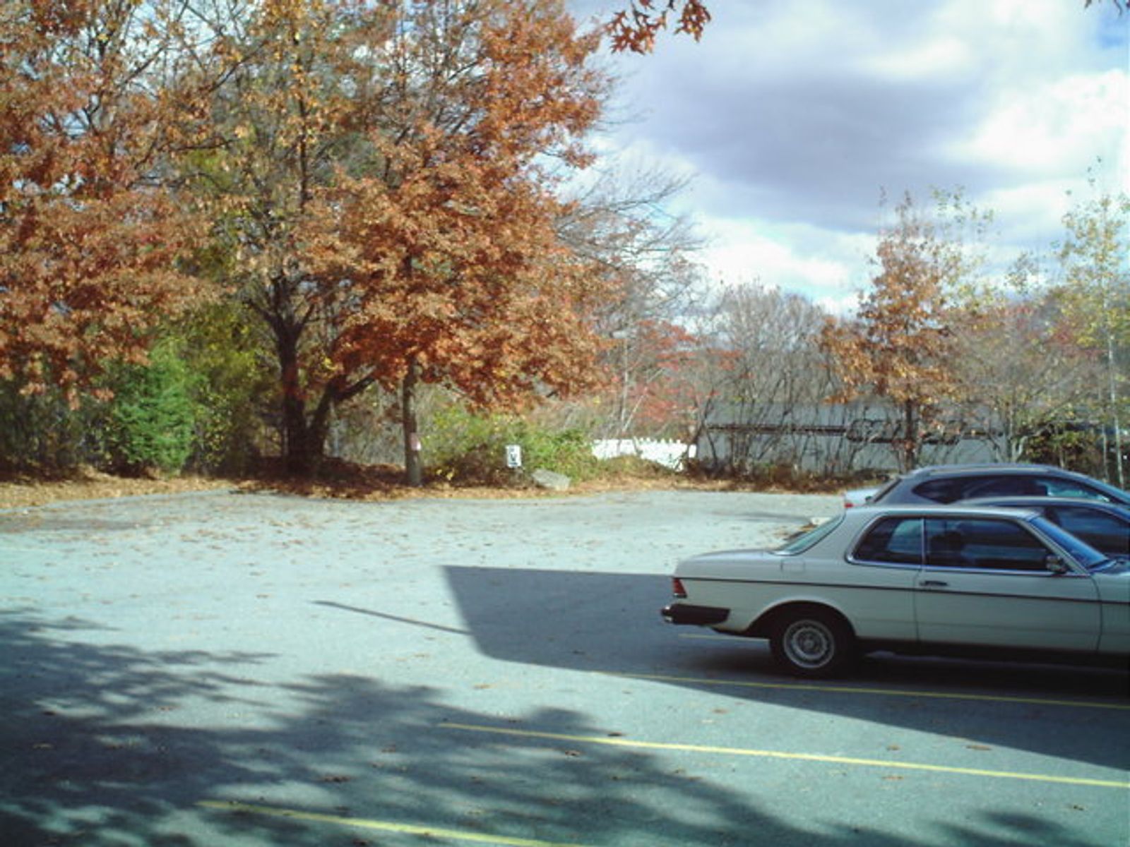 Photo 7 of 12 Baldwin St