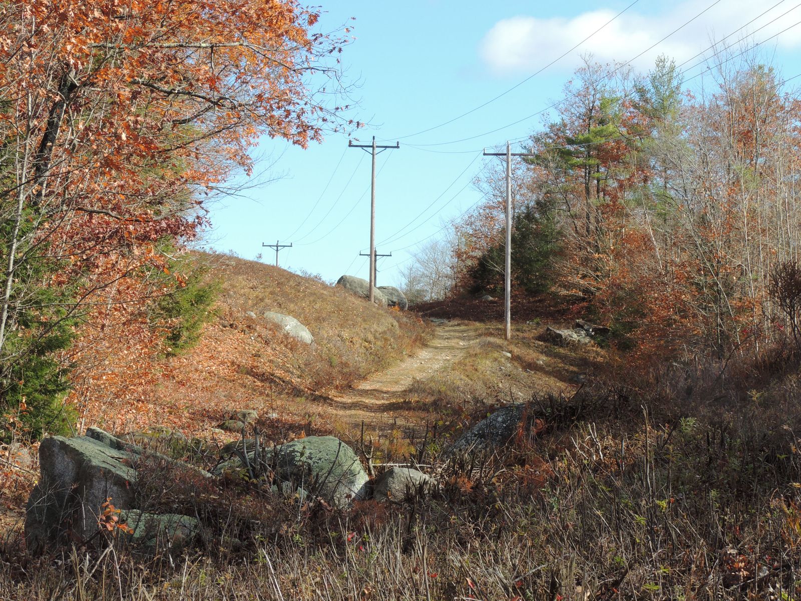 Photo 8 of 140 Chickville Rd