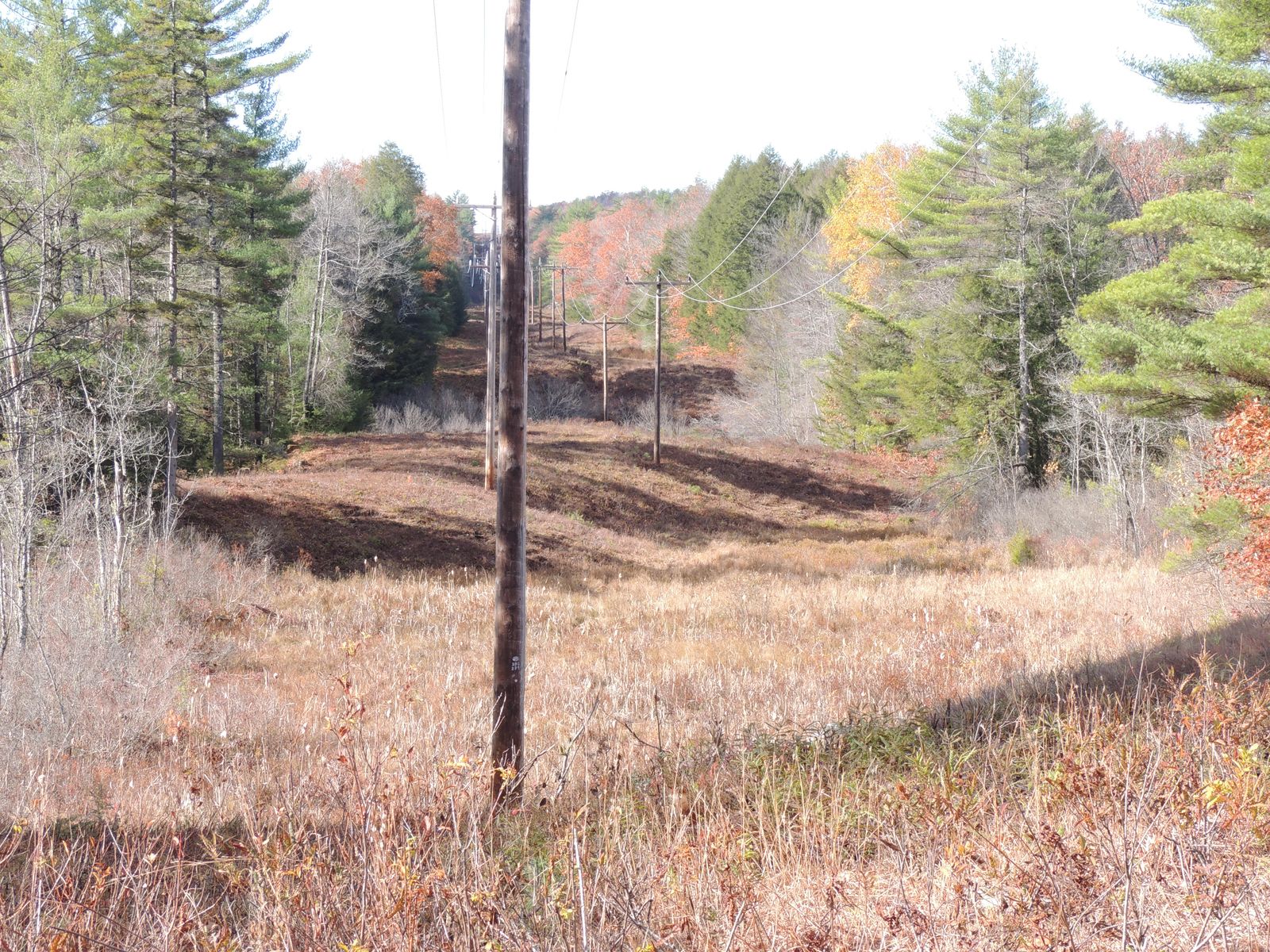 Photo 11 of 140 Chickville Rd