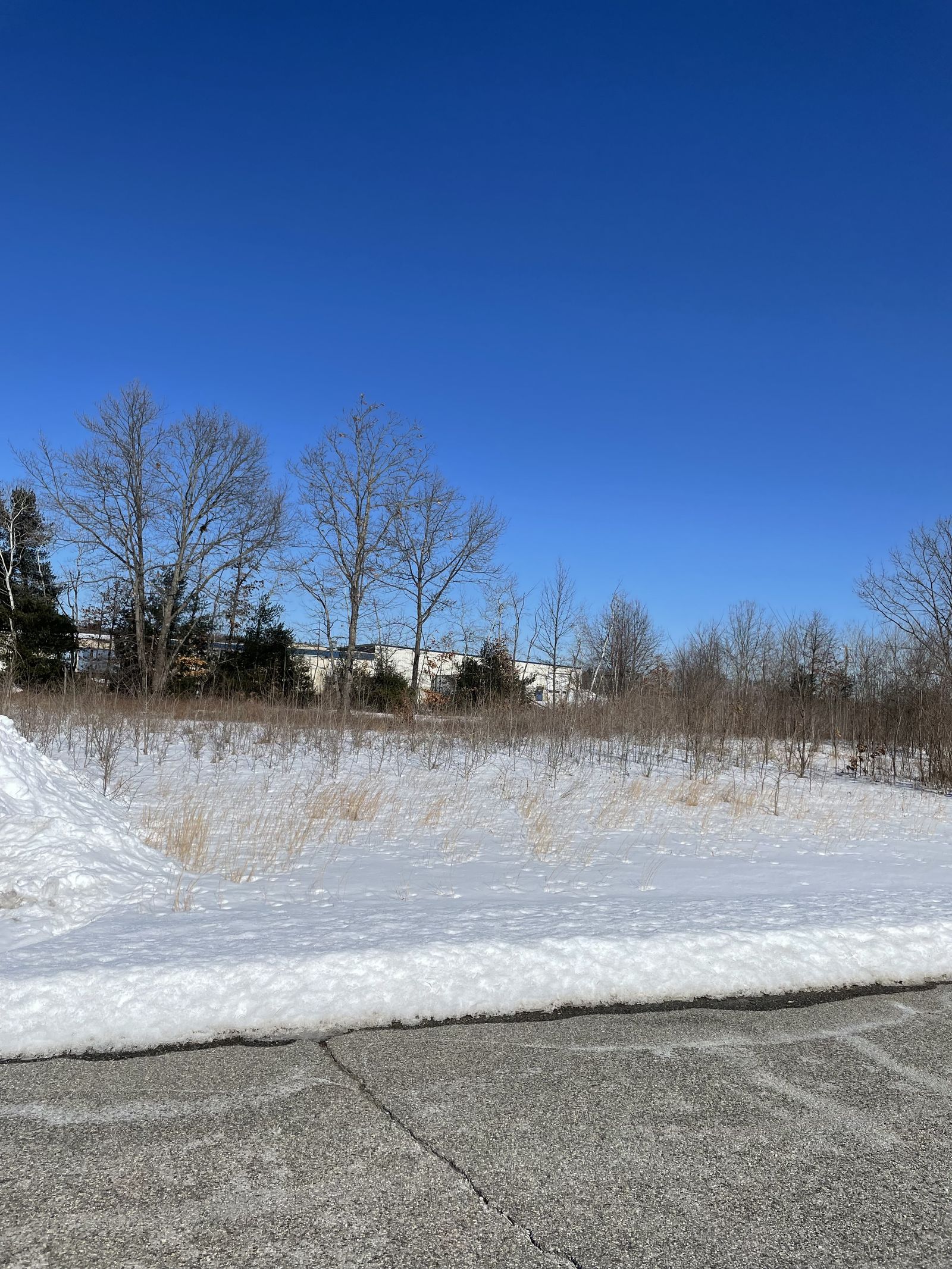 Photo 1 of Lot 4 Gatehouse Ln