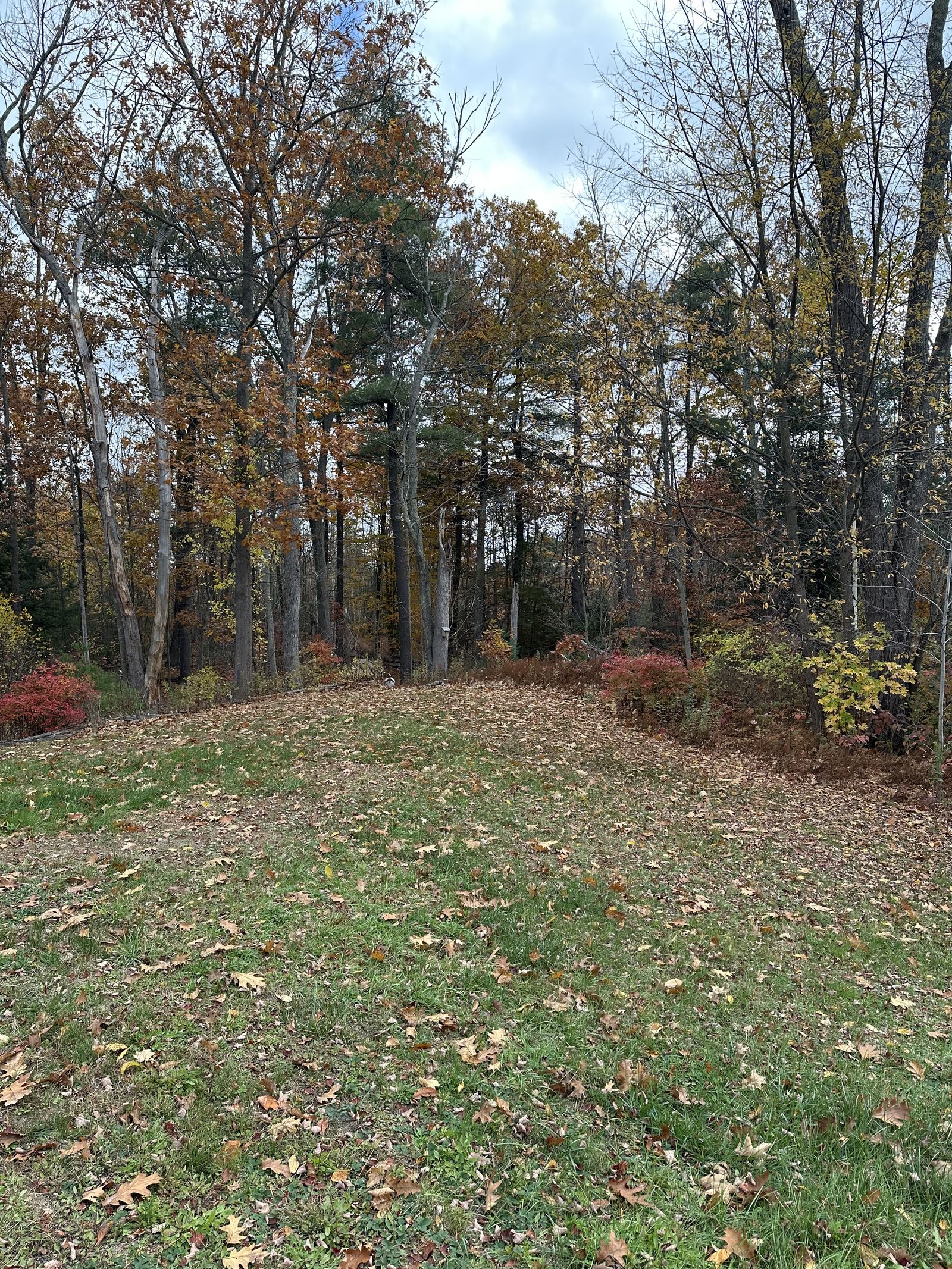 Photo 9 of 275 Calef Highway