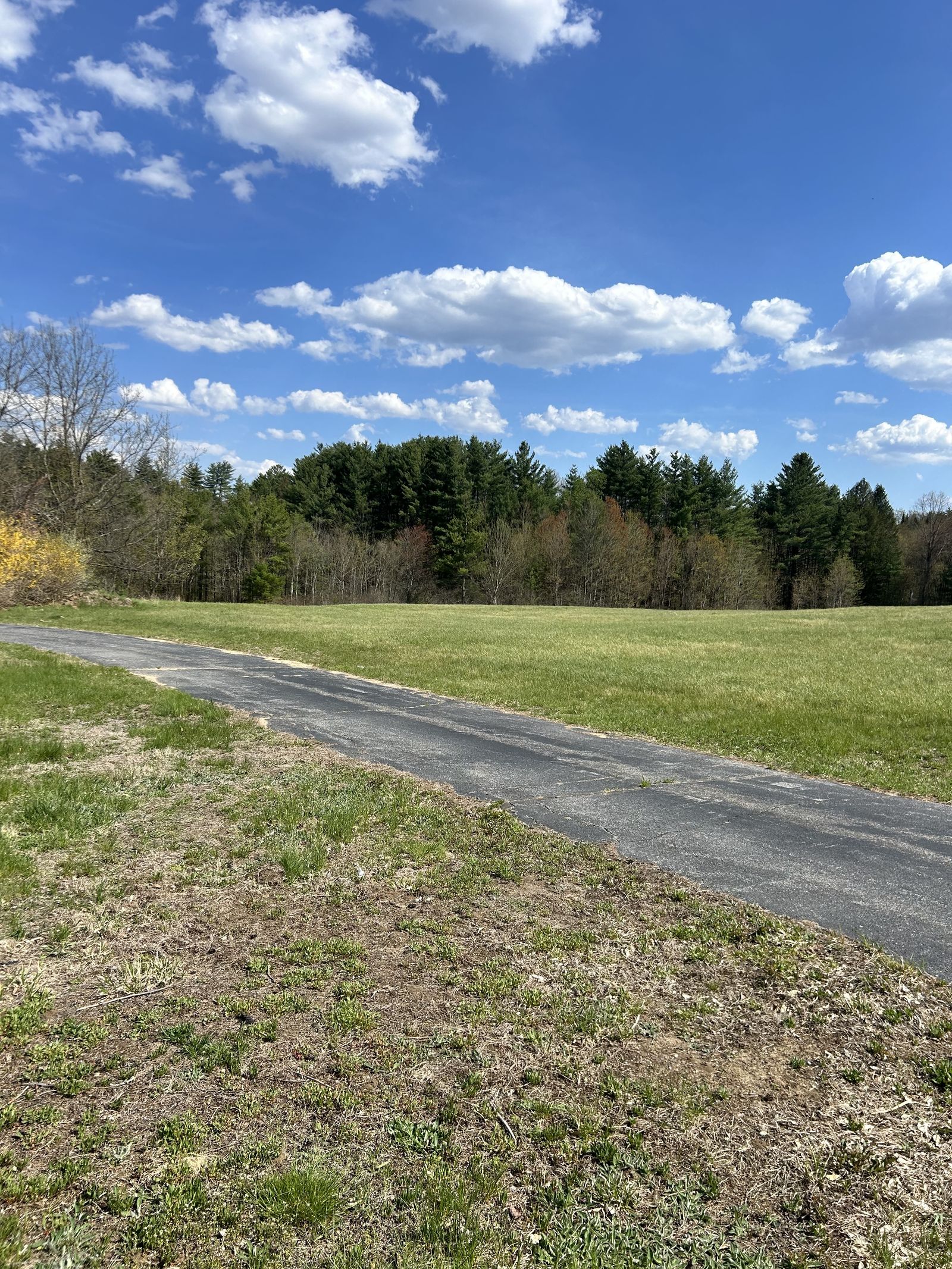 Photo 3 of 257 Wallace Rd