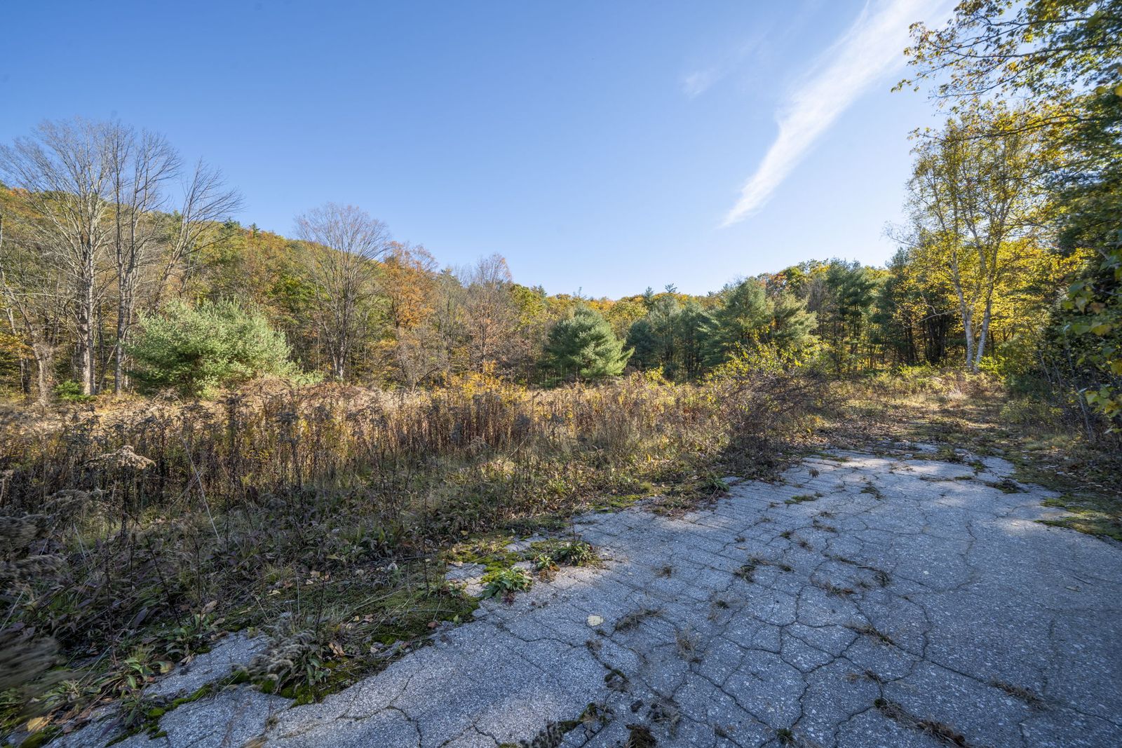 Photo 6 of 8.82+/- Acre Commercial Site on Busy Monadnock Hwy