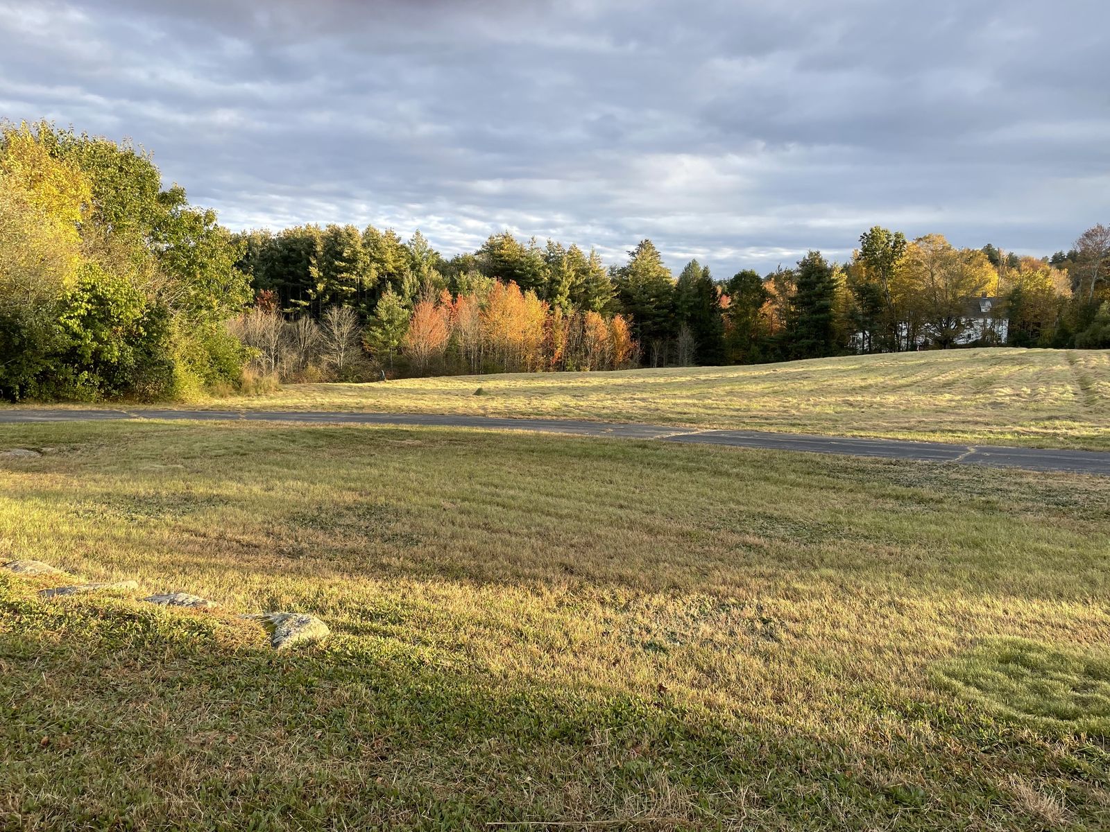 Photo 7 of 257 Wallace Rd