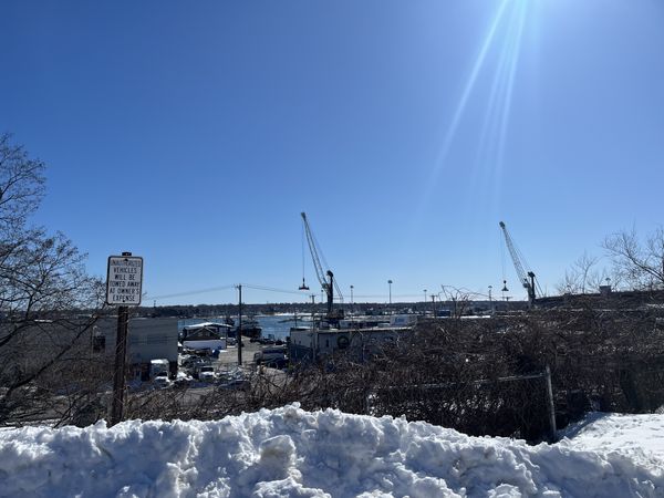 146 York Street