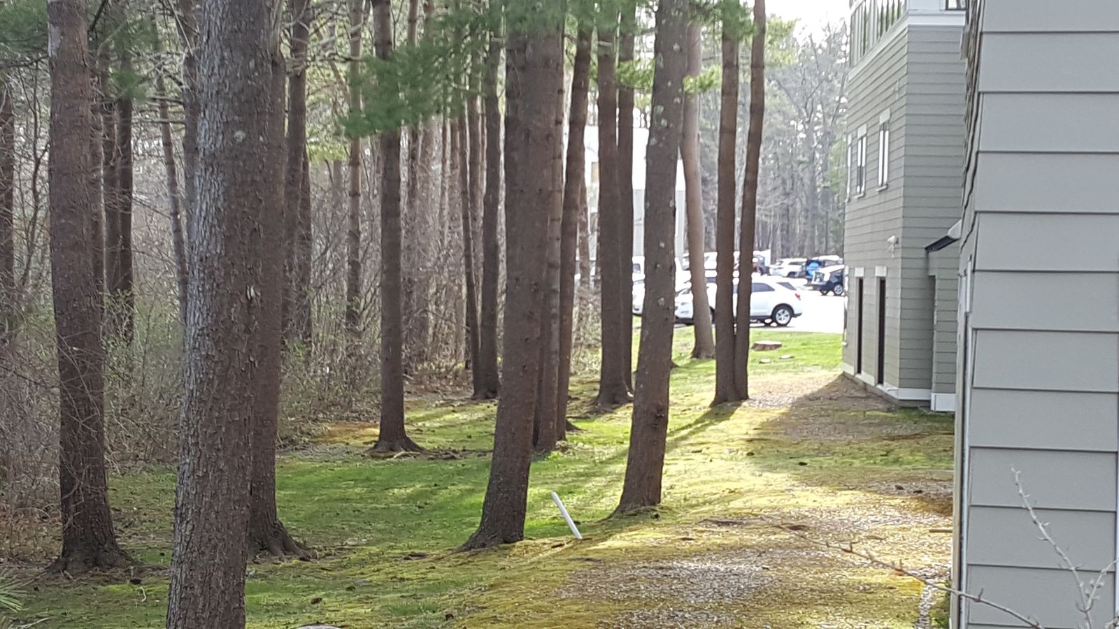 Photo 26 of 4 Greenleaf Woods Dr