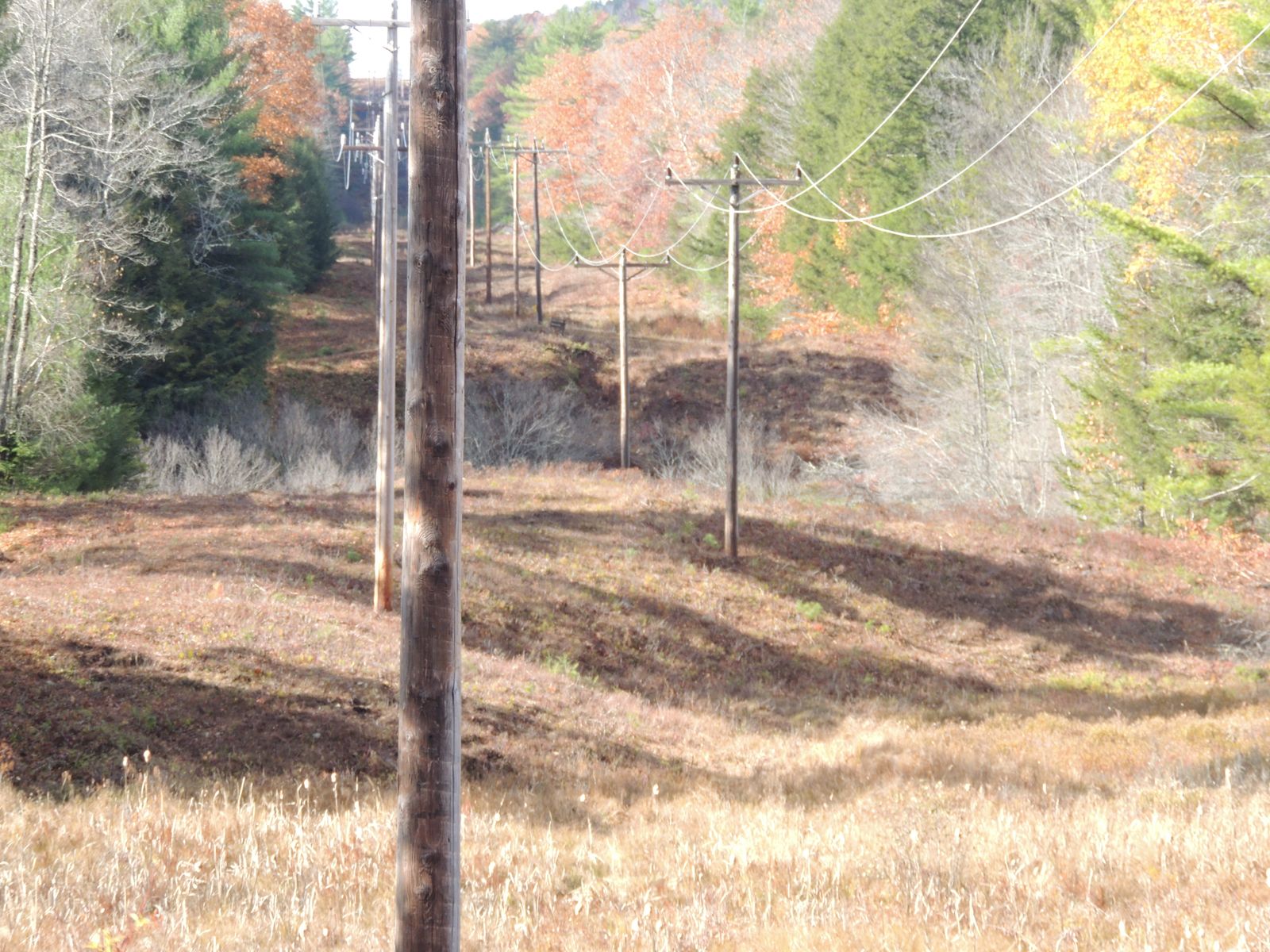 Photo 5 of 140 Chickville Rd