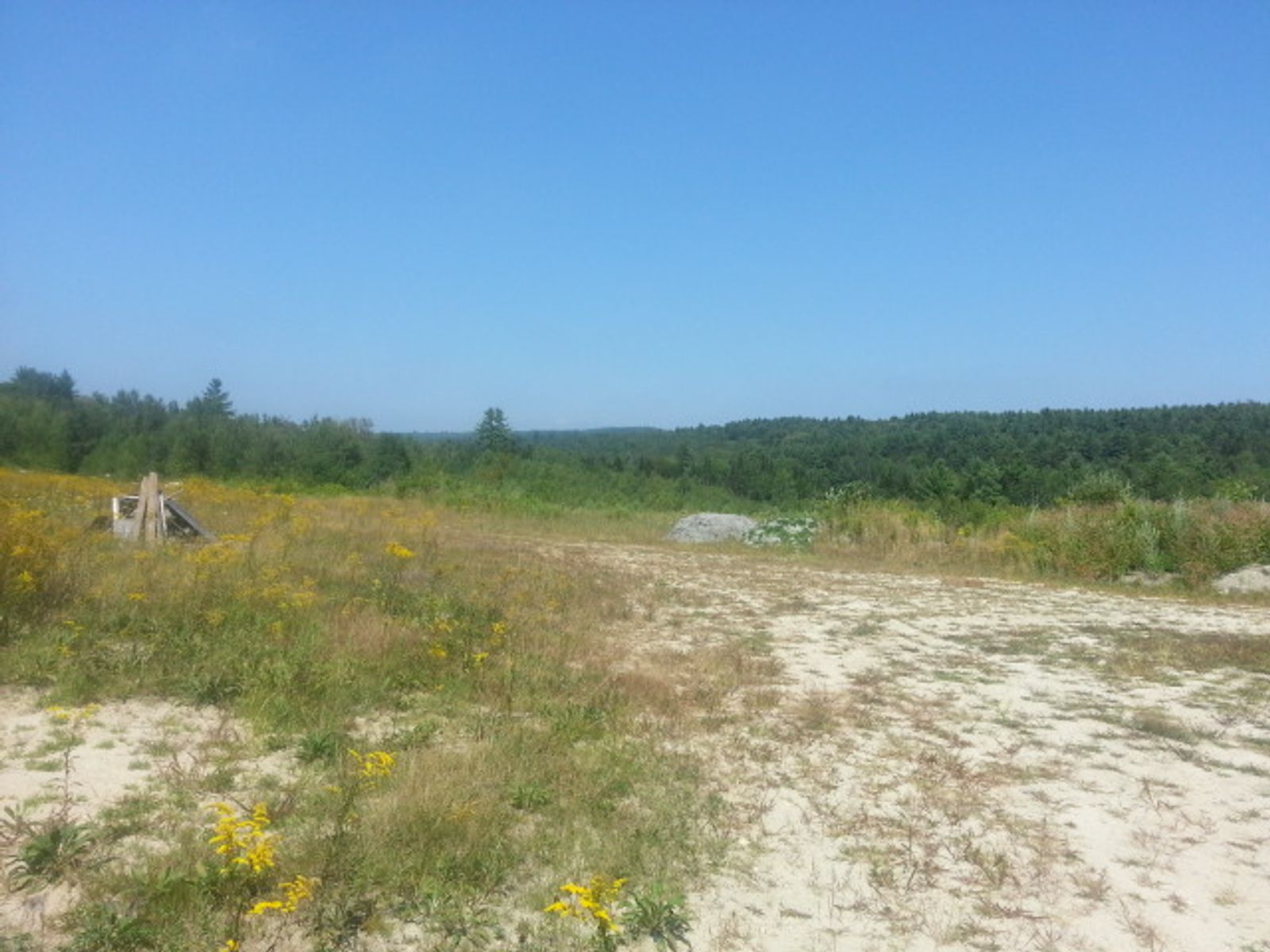 Photo 6 of 201 acres land no zoning