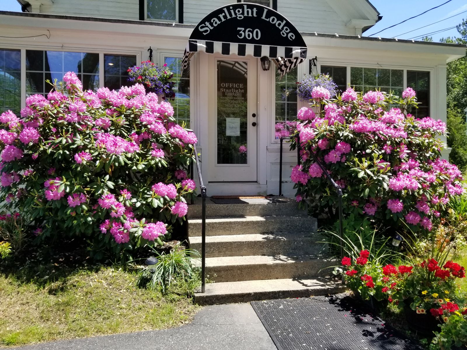Photo 8 of Starlight Lodge