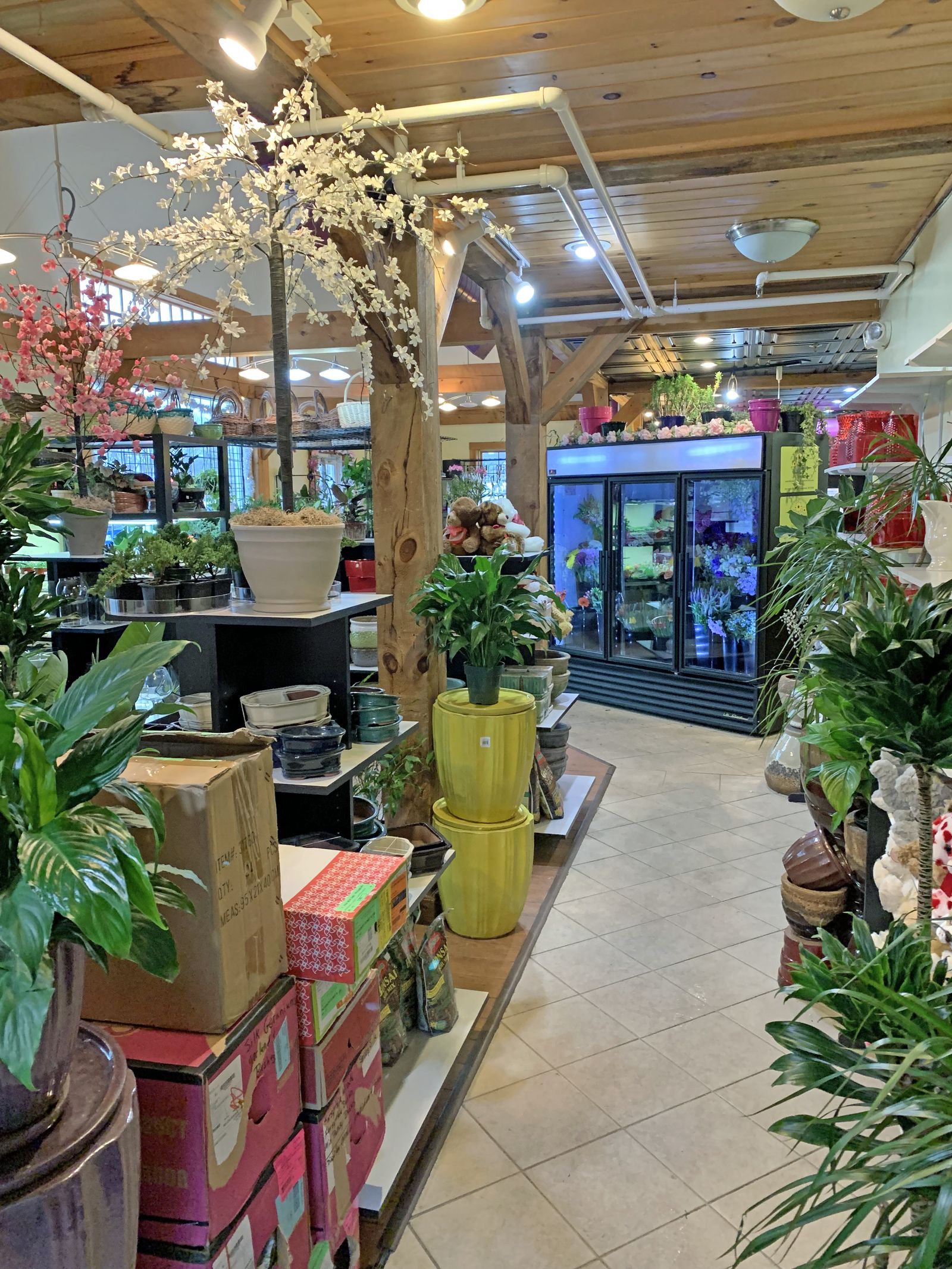 Photo 62 of Greenland Village Shops