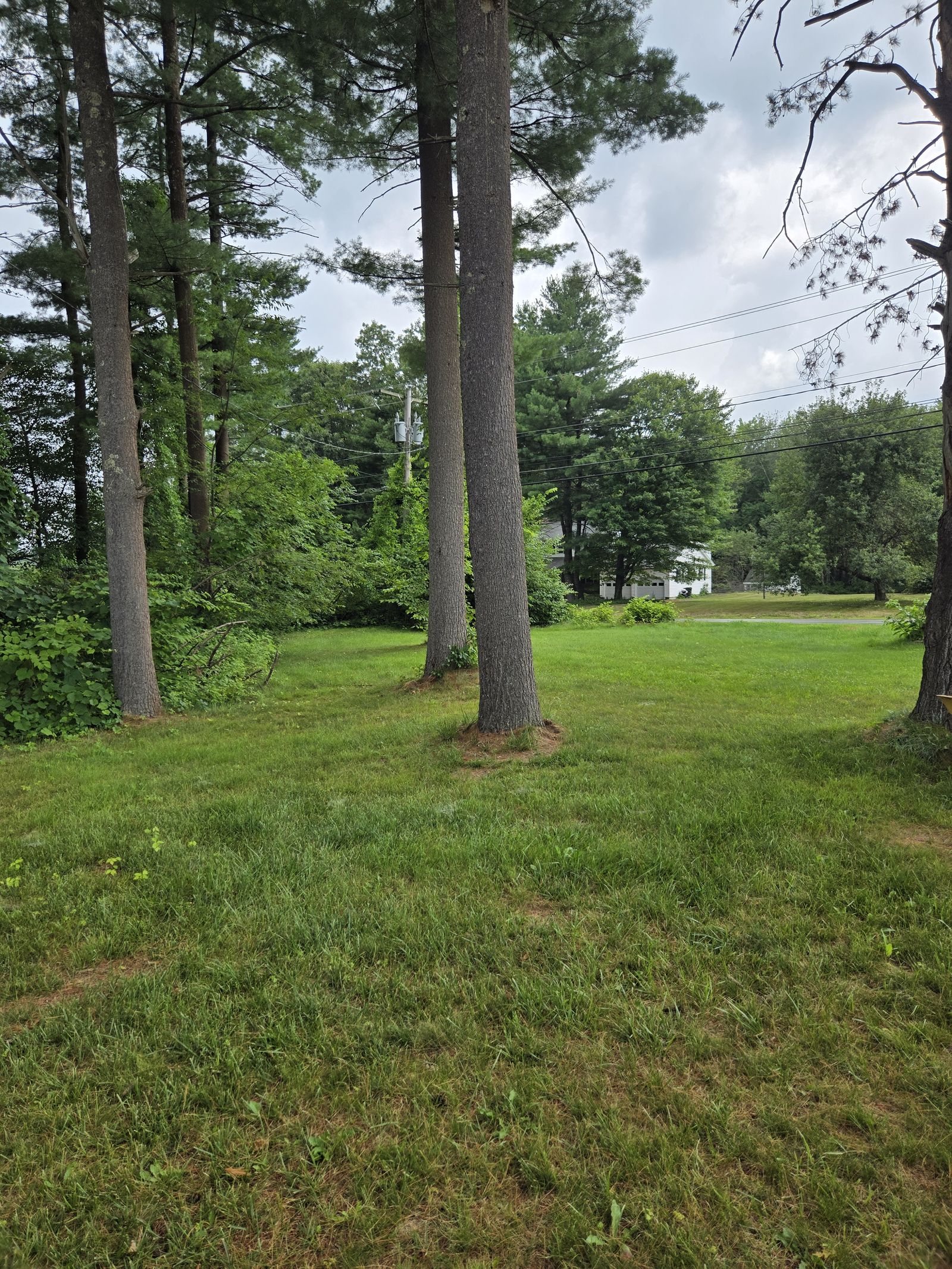 Photo 1 of 221 Rockingham Rd.