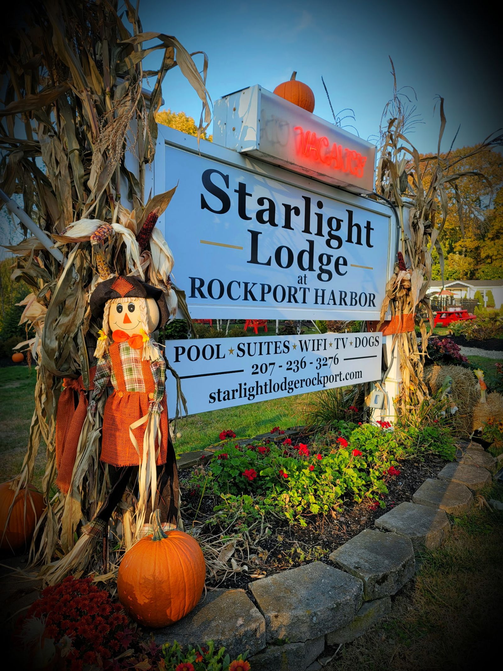 Photo 12 of Starlight Lodge