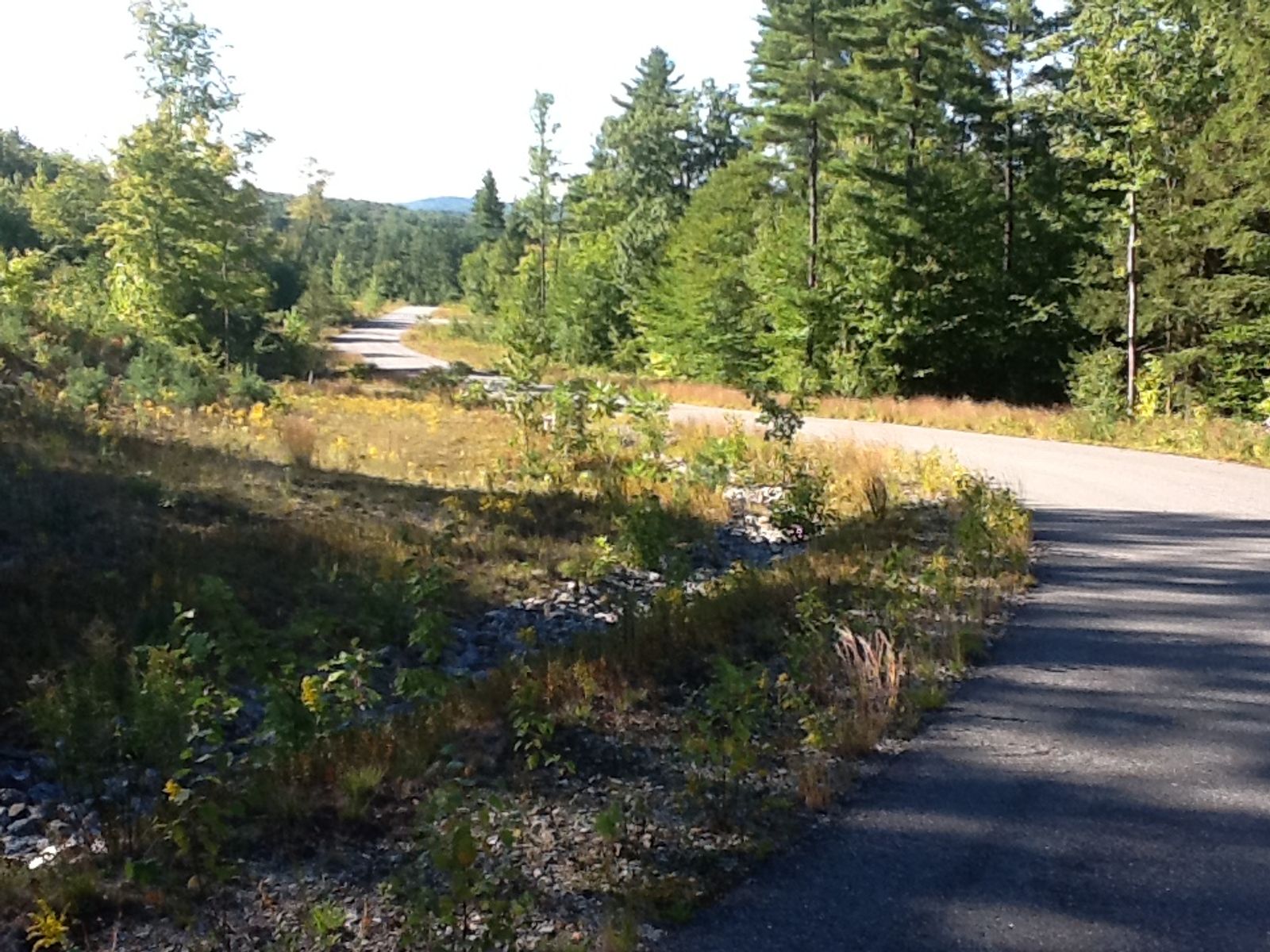 Photo 3 of 114 Route