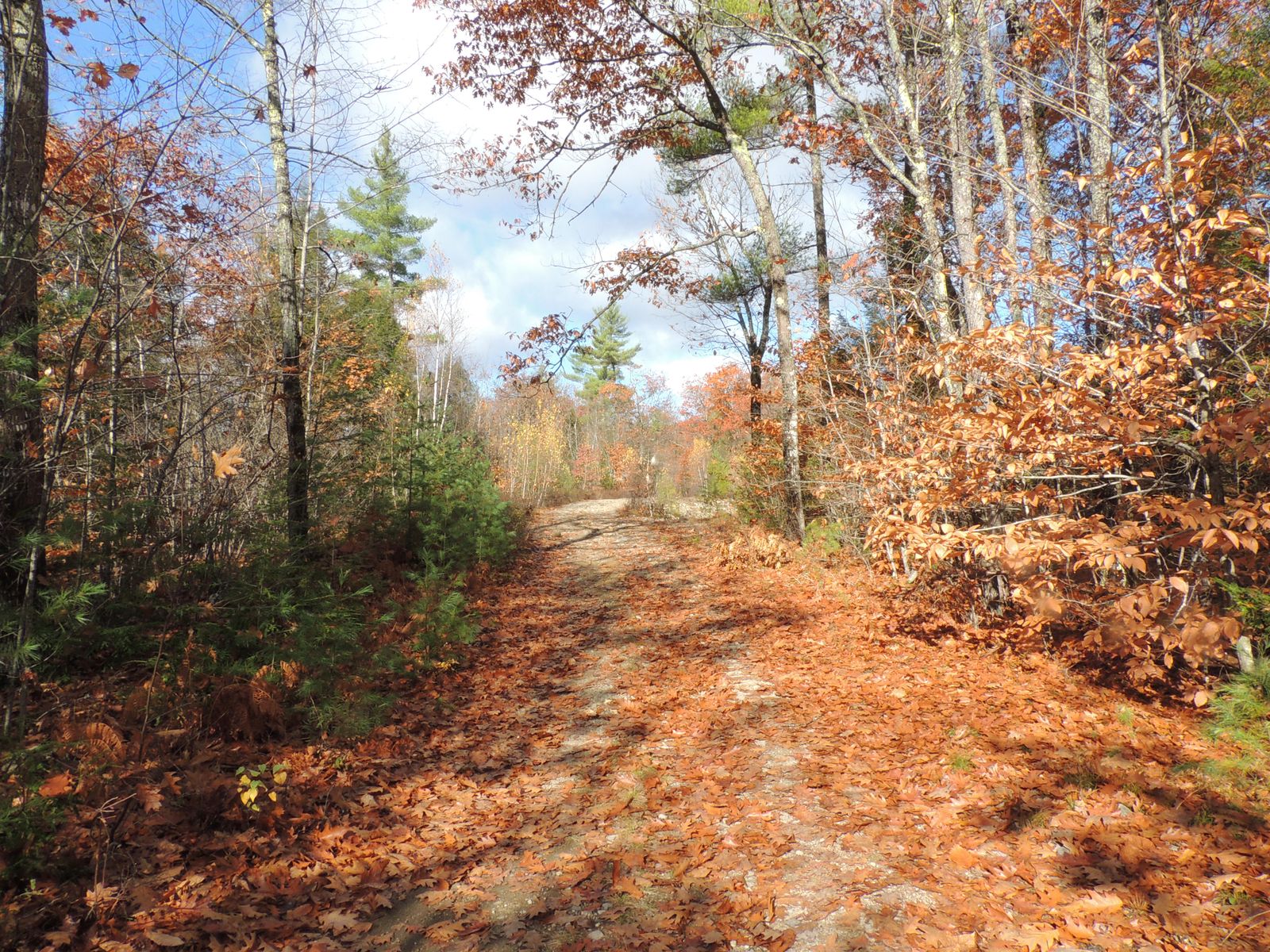 Photo 6 of 140 Chickville Rd