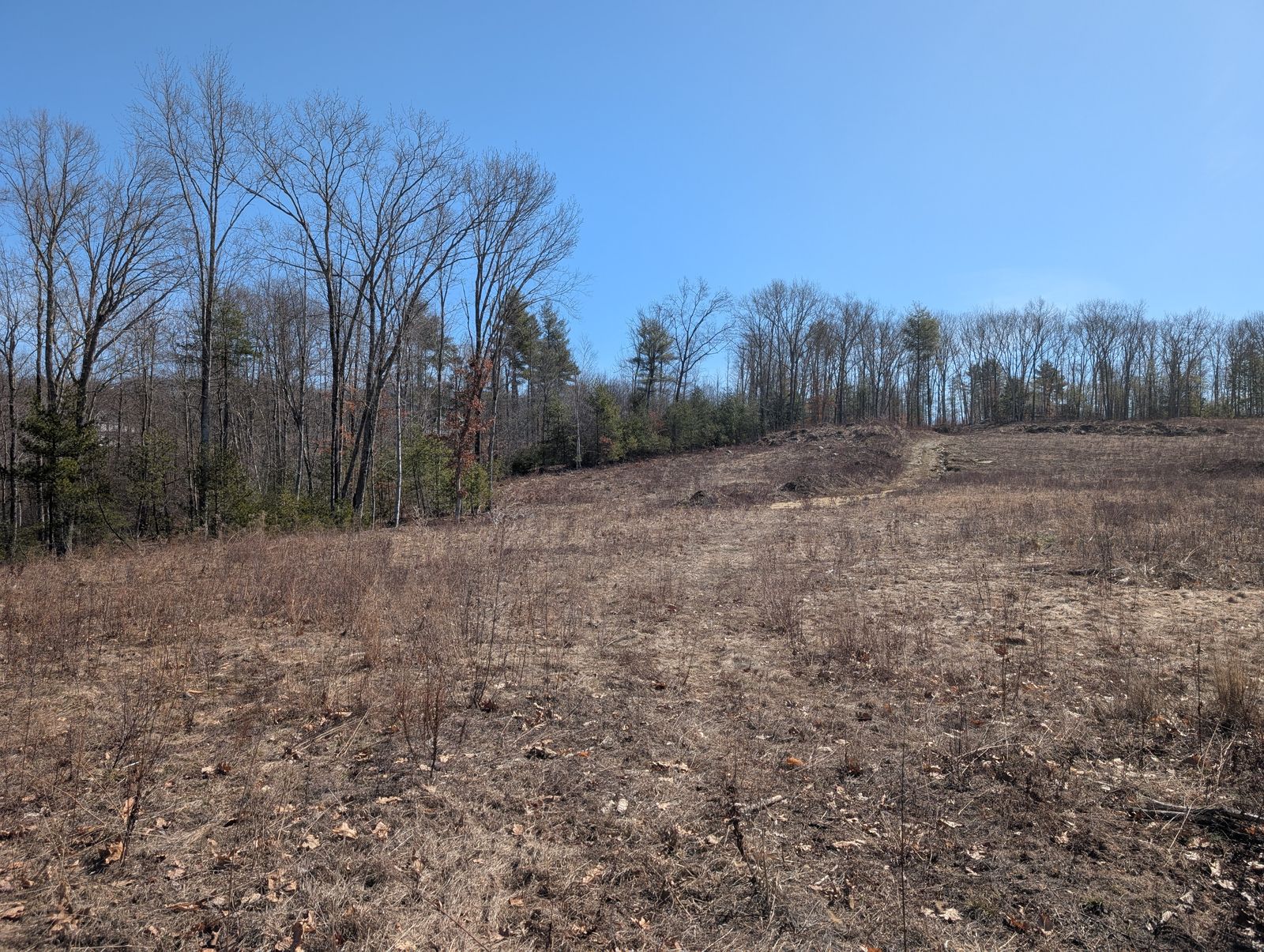 Photo 9 of Lot 233/26/58 and 59