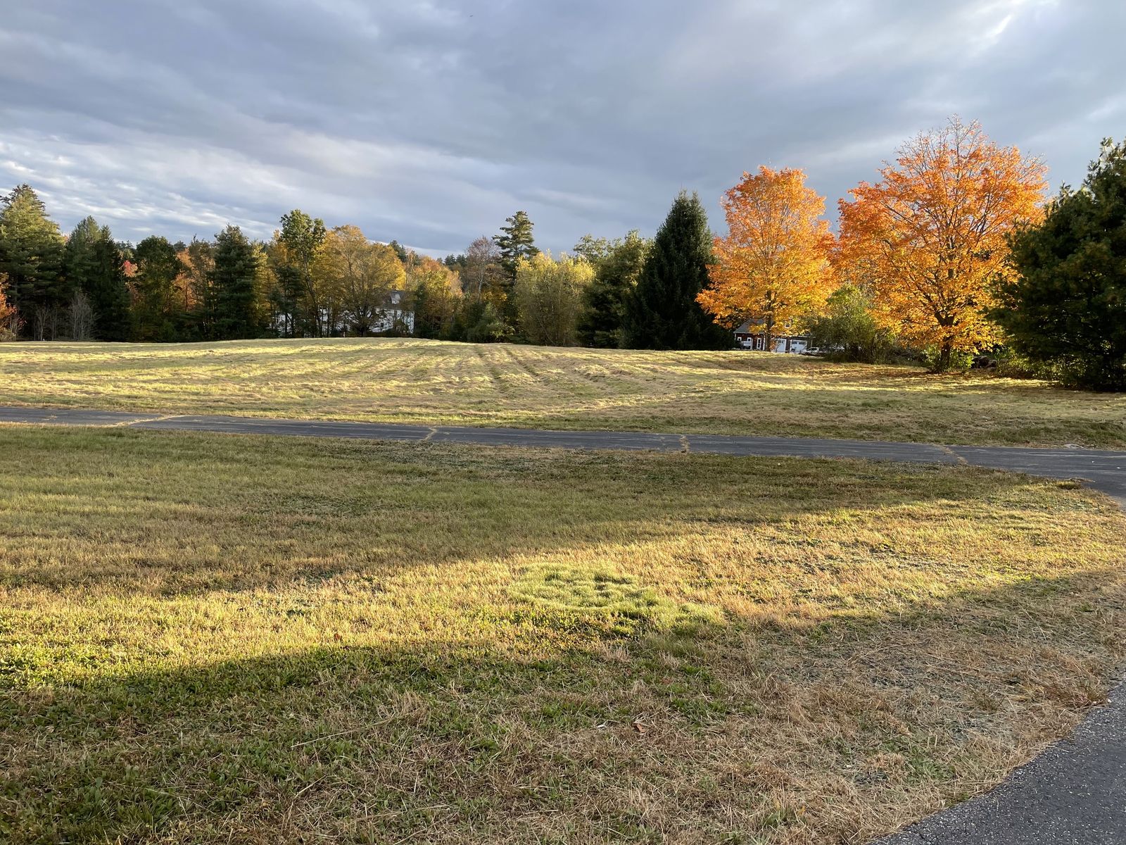 Photo 5 of 257 Wallace Rd