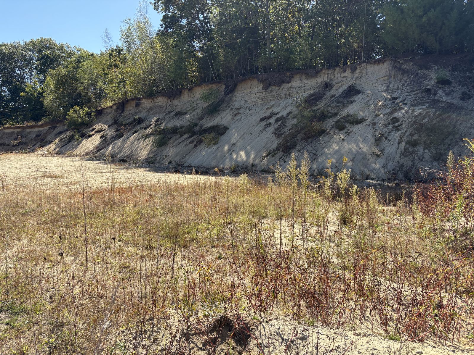 Photo 7 of Rear Wadleigh Falls Road