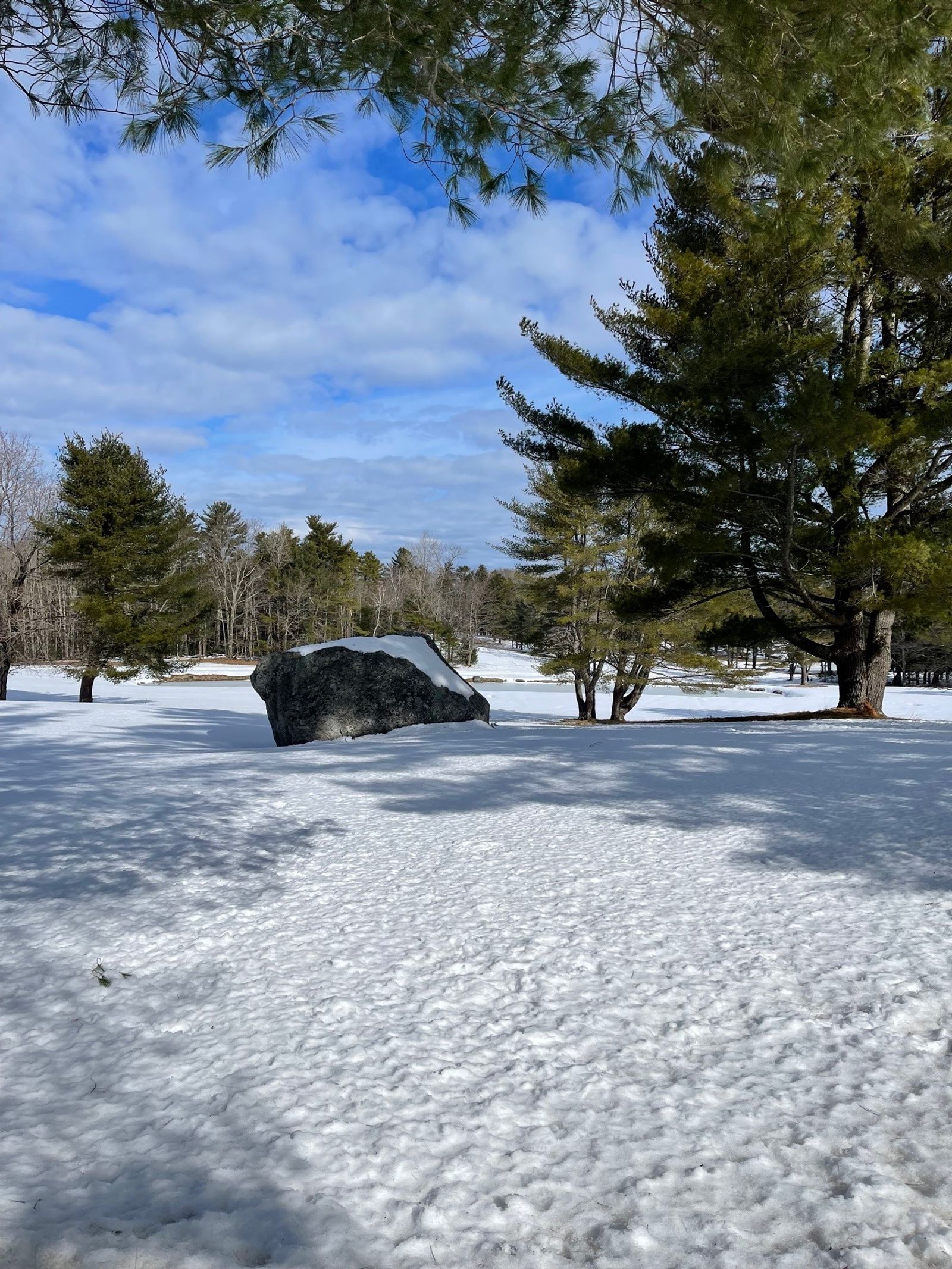 Photo 2 of 93 McLellan Rd