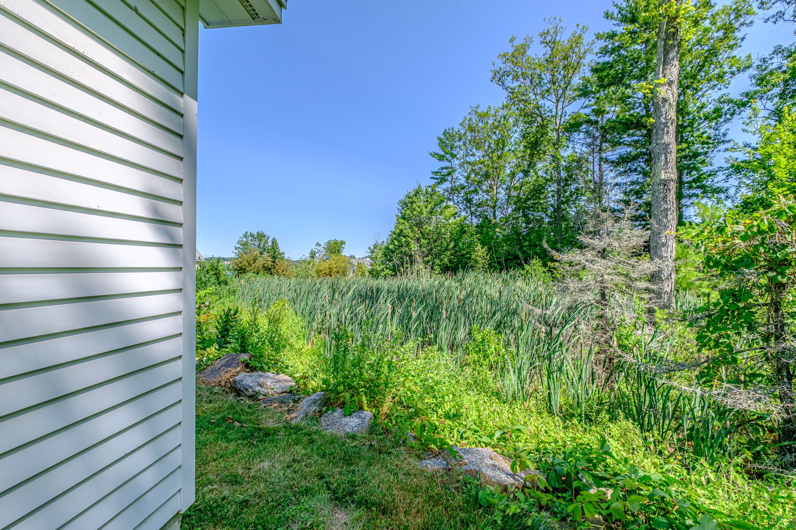 Photo 40 of One Property Multiple Possibilities