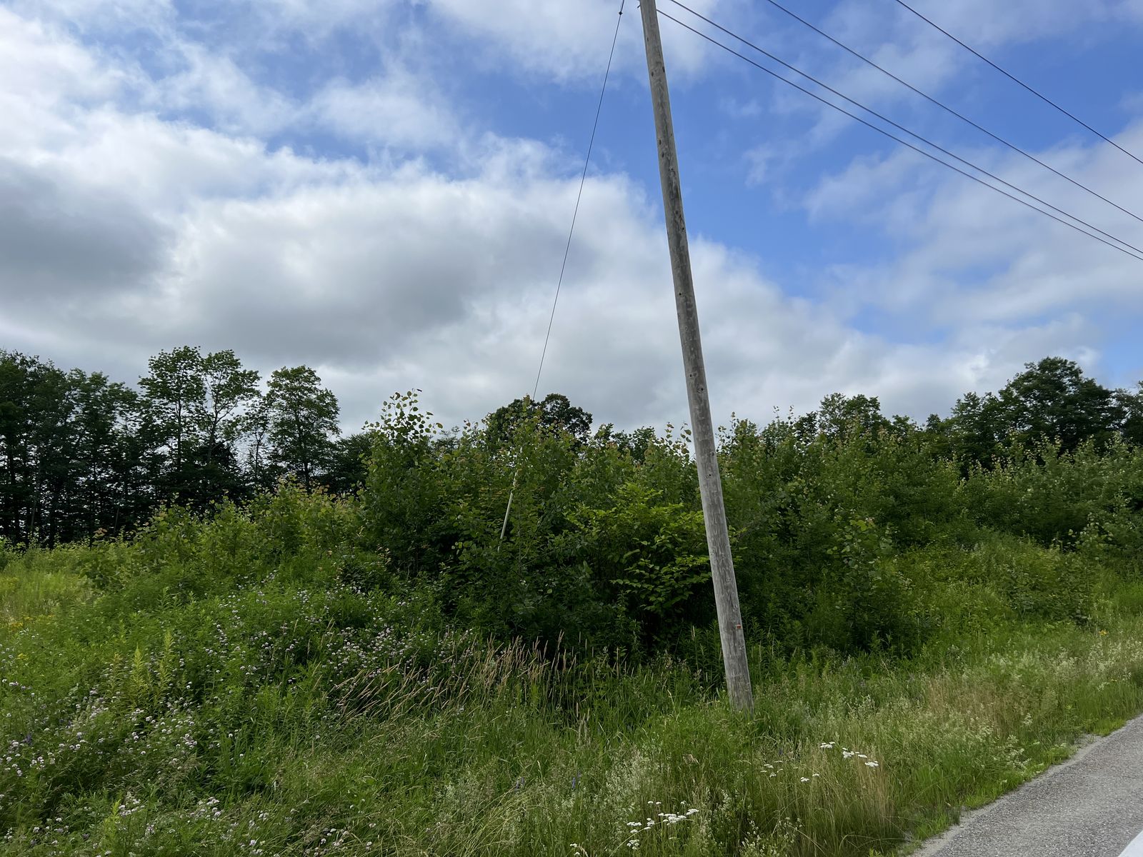Photo 3 of 5 Evergreen Dr