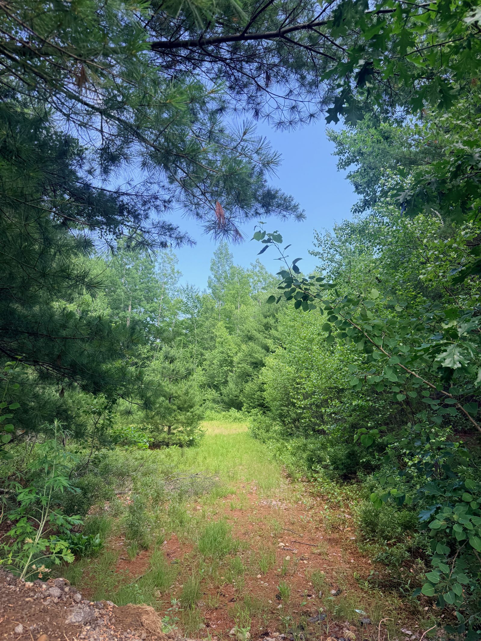 Photo 5 of 36 Old County Rd