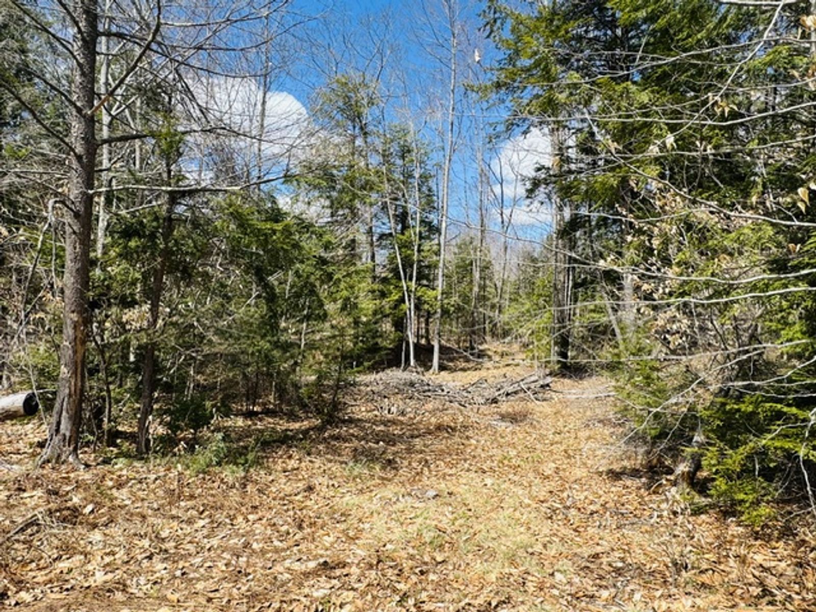 Photo 16 of 0 Tavern Hill
