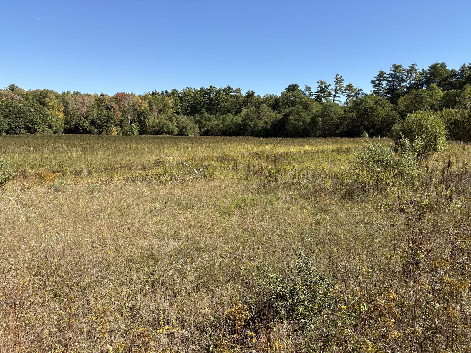 Photo 15 of Rear Wadleigh Falls Road