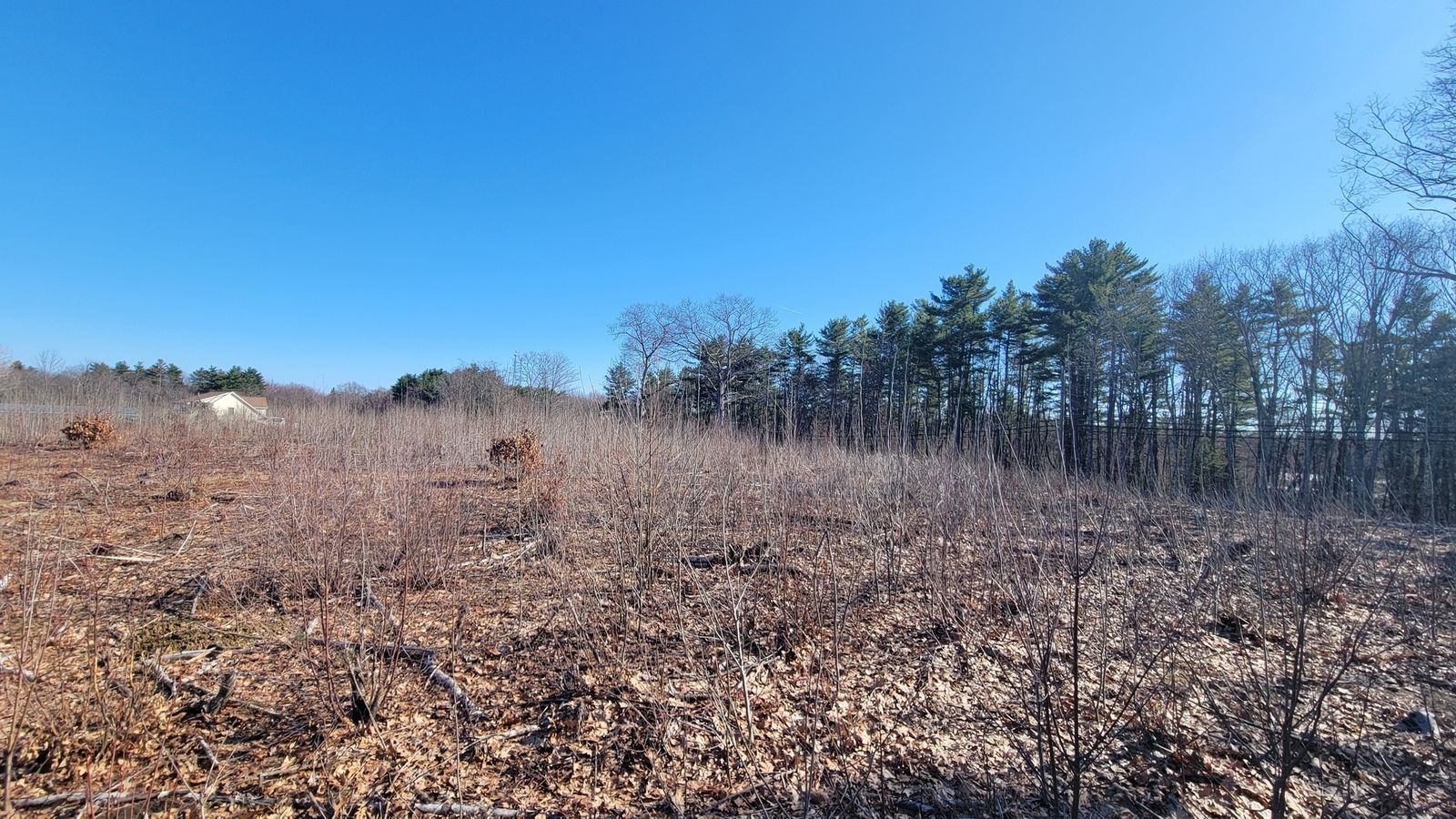 Photo 6 of 6 Indian River Rd