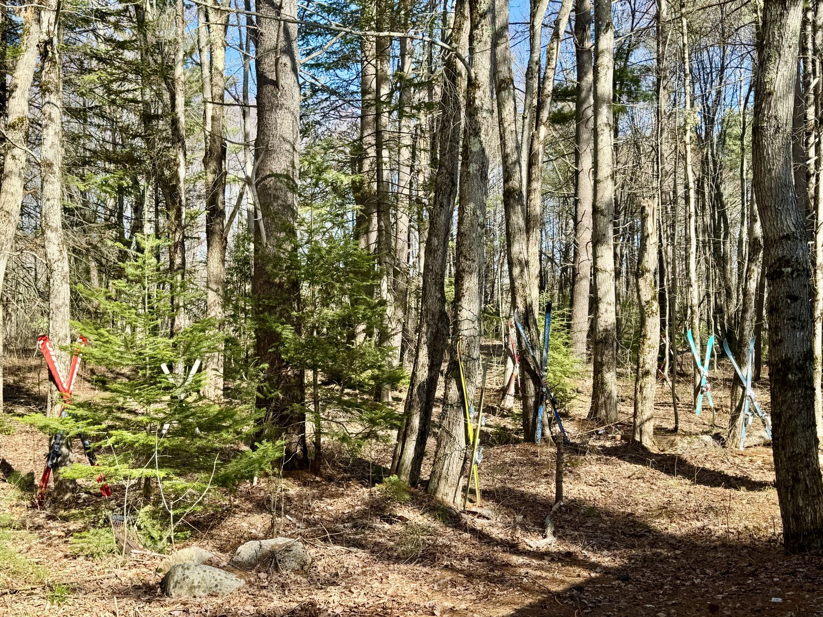 Photo 28 of 2659 NH-16