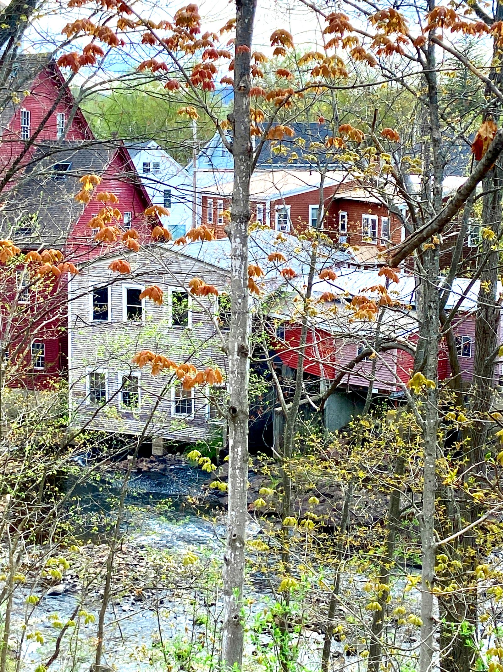 Photo 12 of 22 Main St