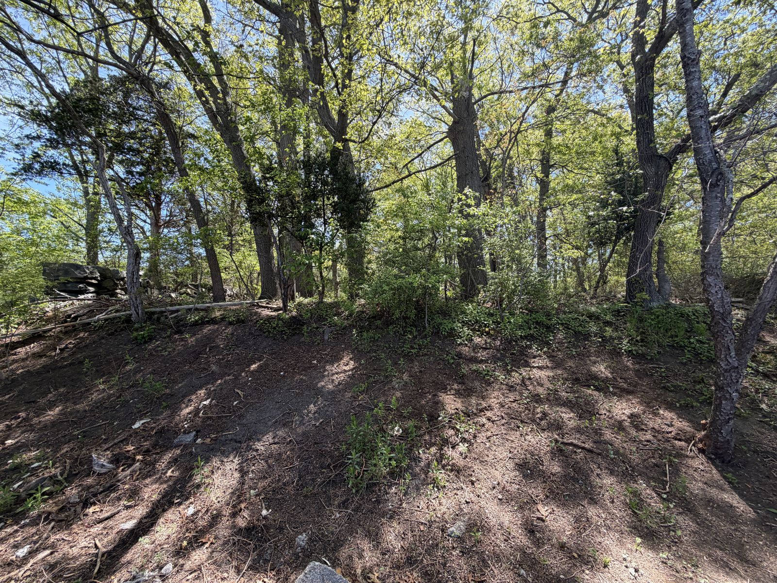 Photo 9 of 7560 Post Rd
