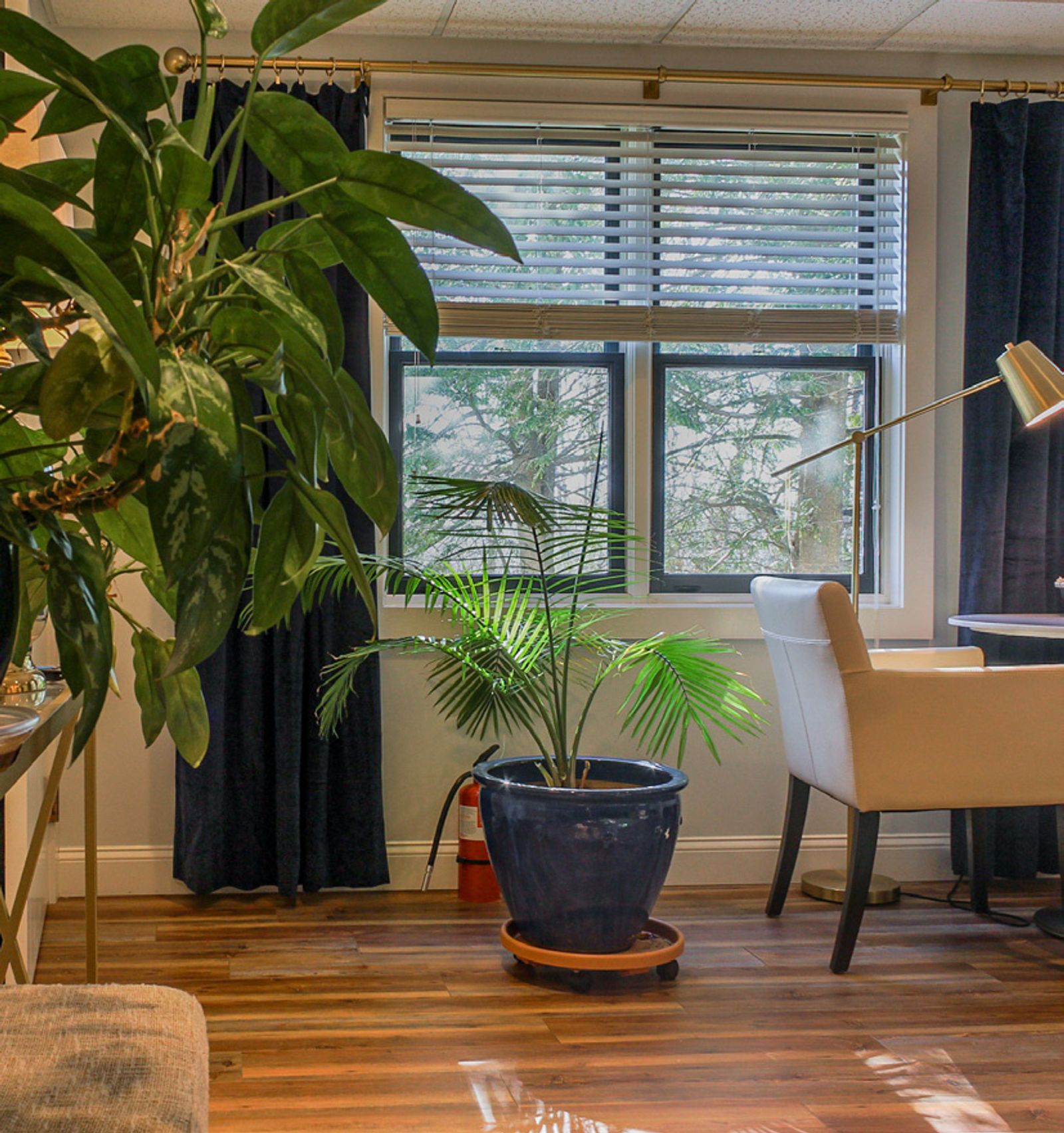 Photo 6 of 535 Ocean Avenue